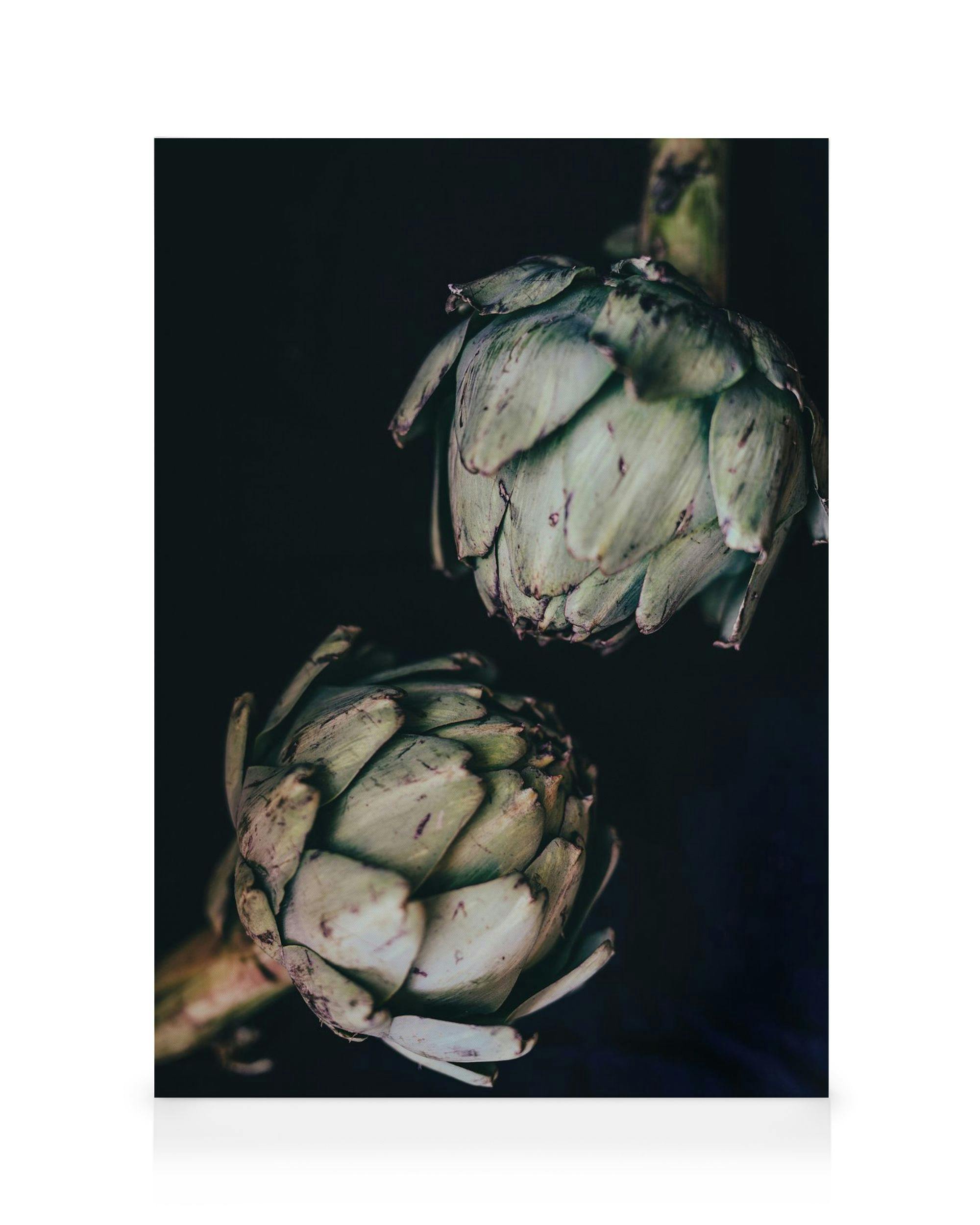Canvas Prints - Artichokes Canvas print (50x70 cm - Oak Frame) - Poster Store