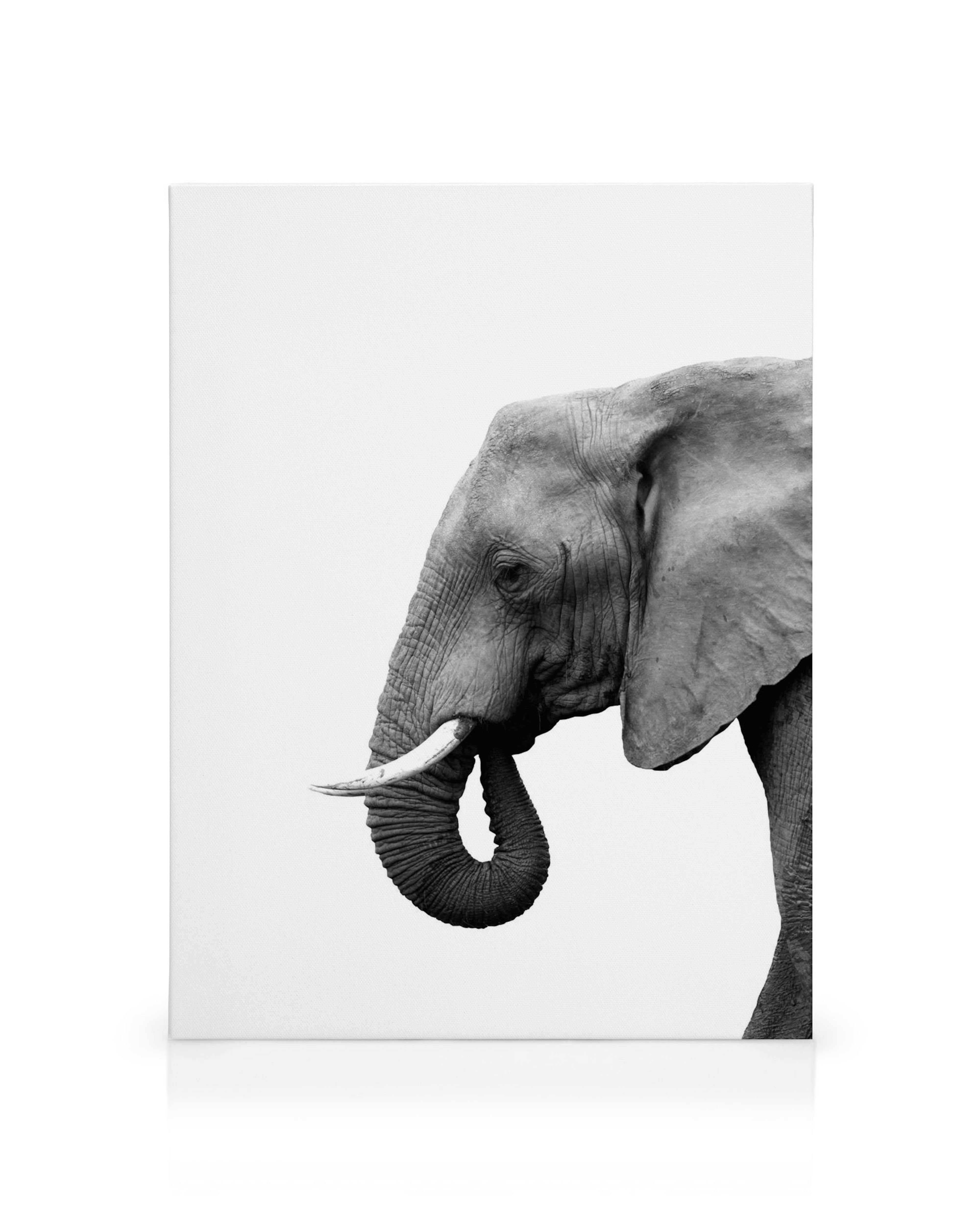 Product image: 1