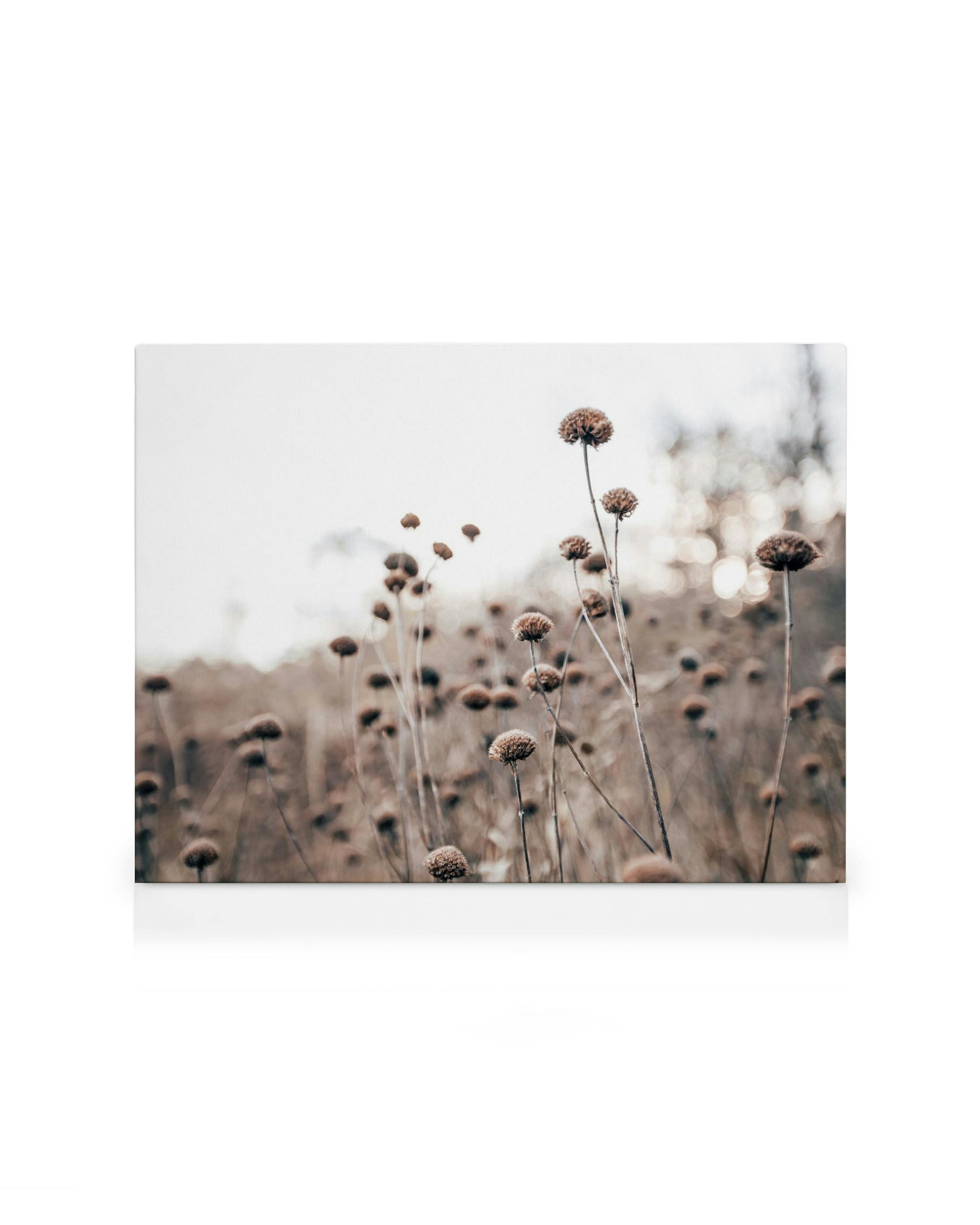 Product image: 1