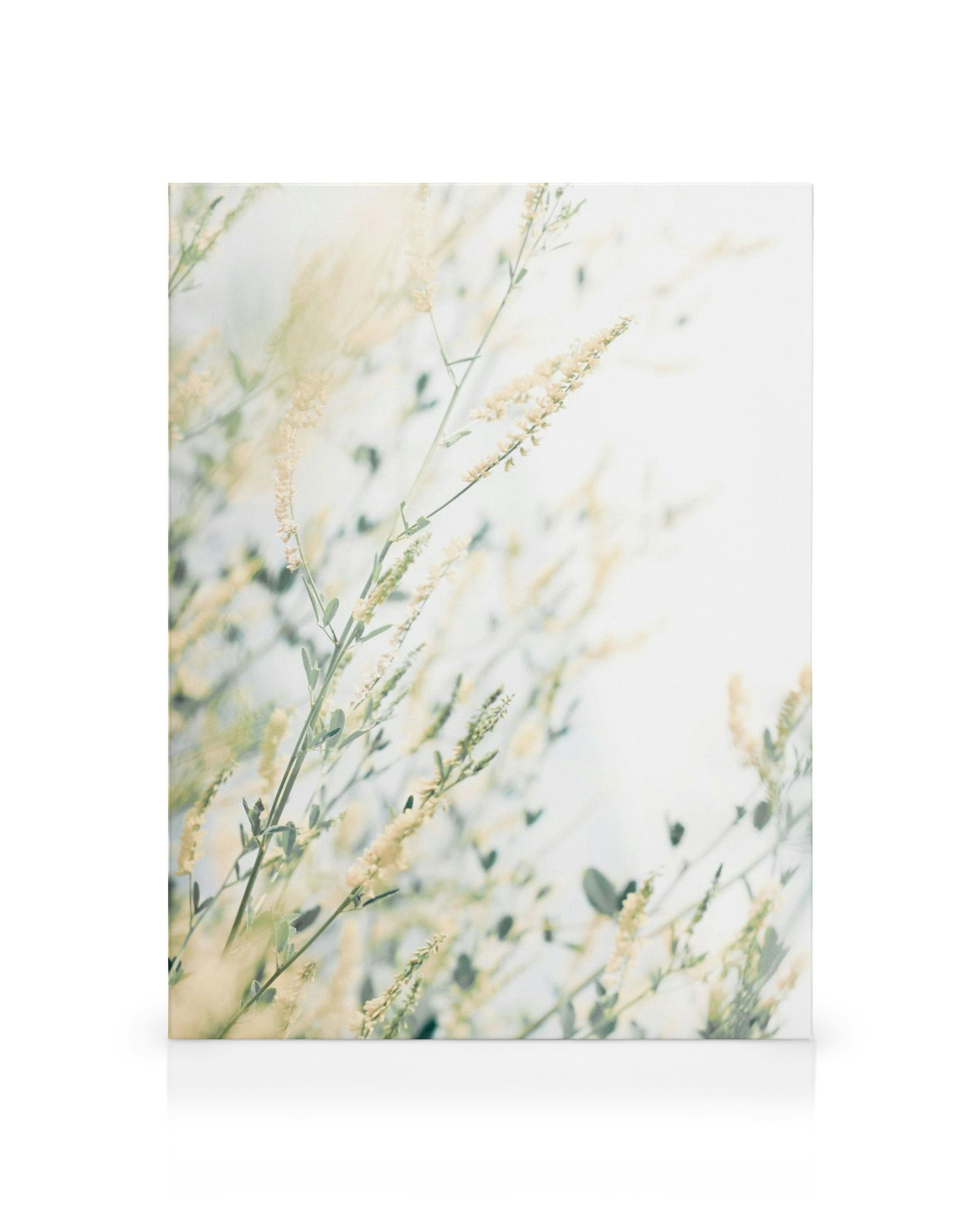 Product image: 1
