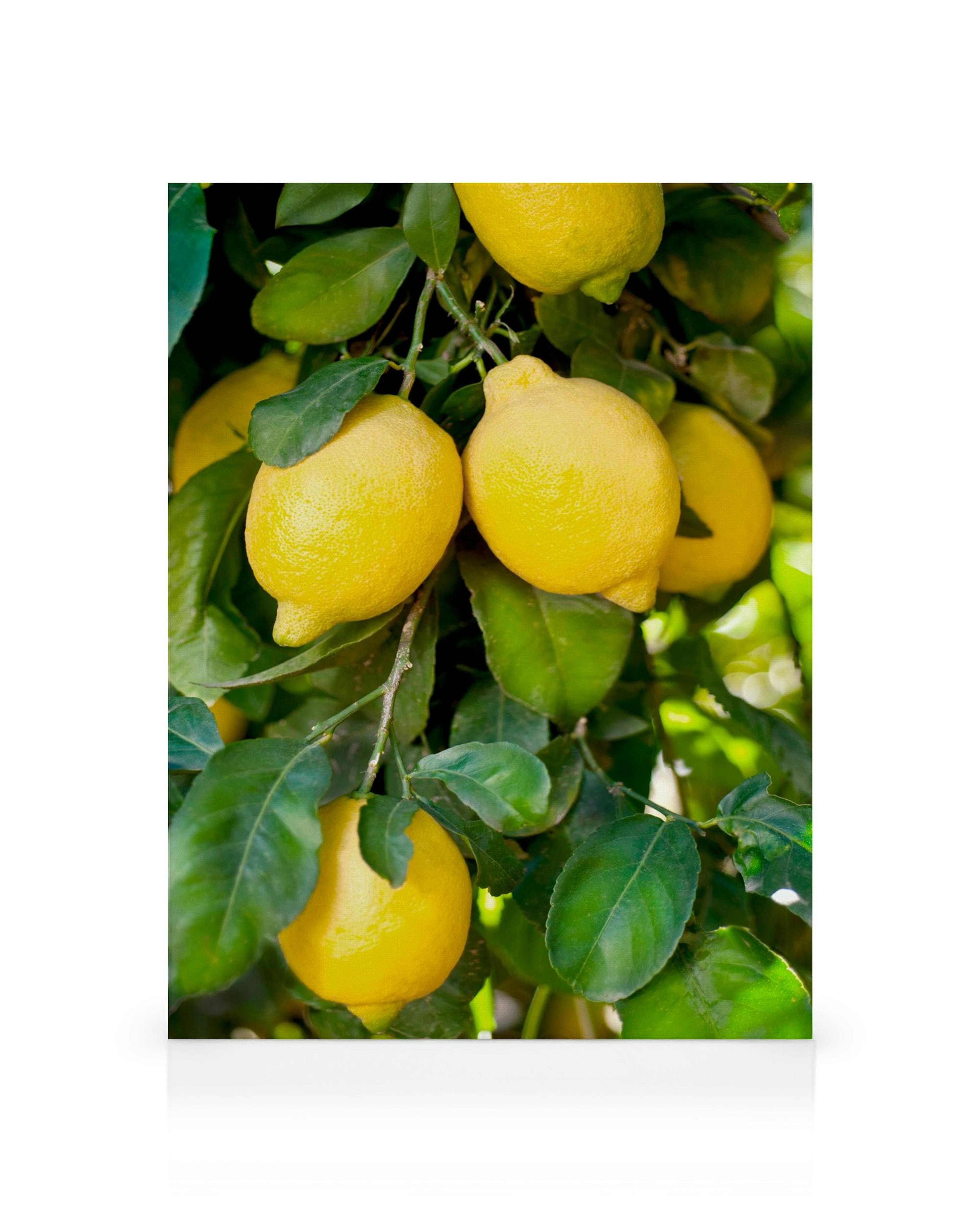 Product image: 1