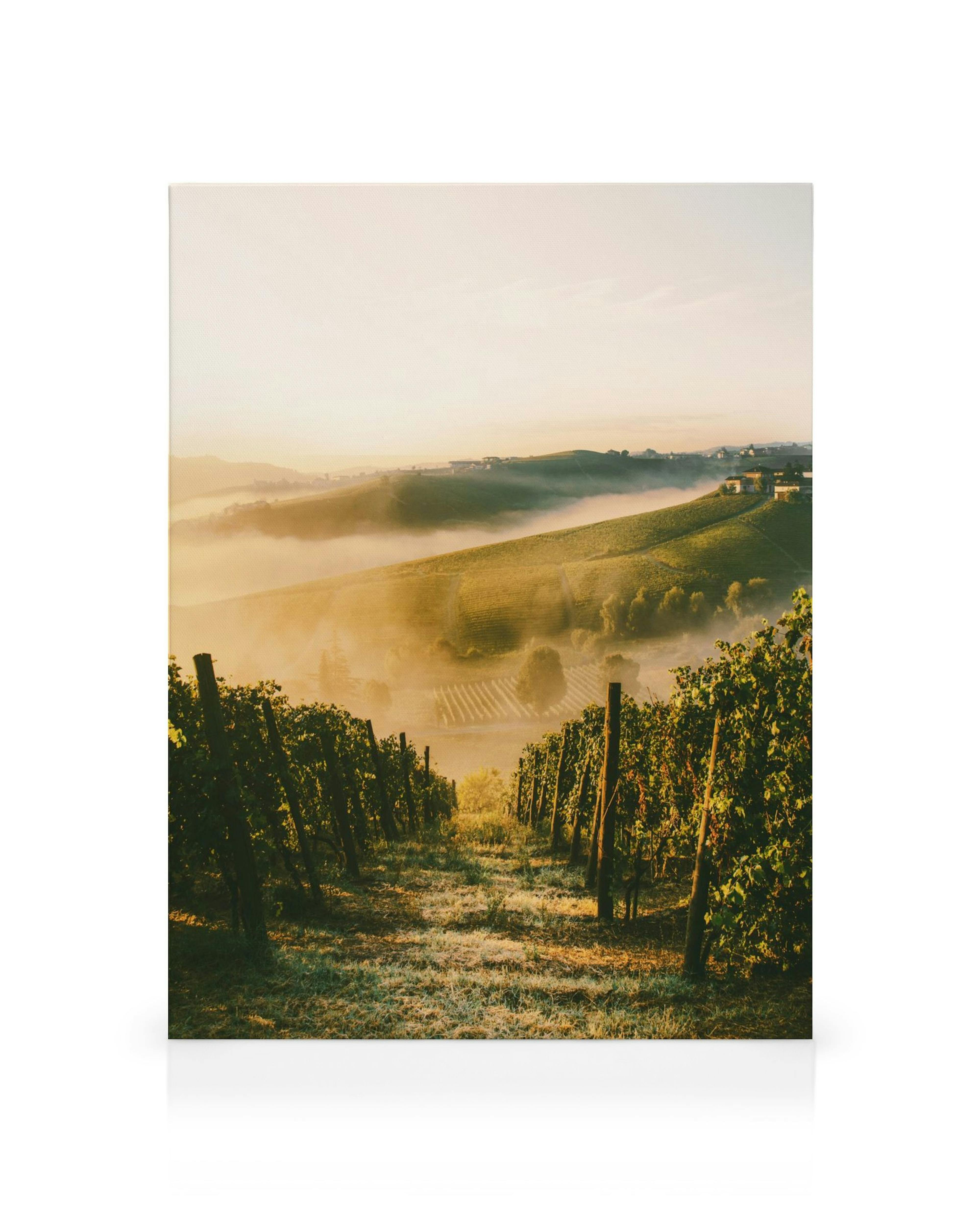 Product image: 1