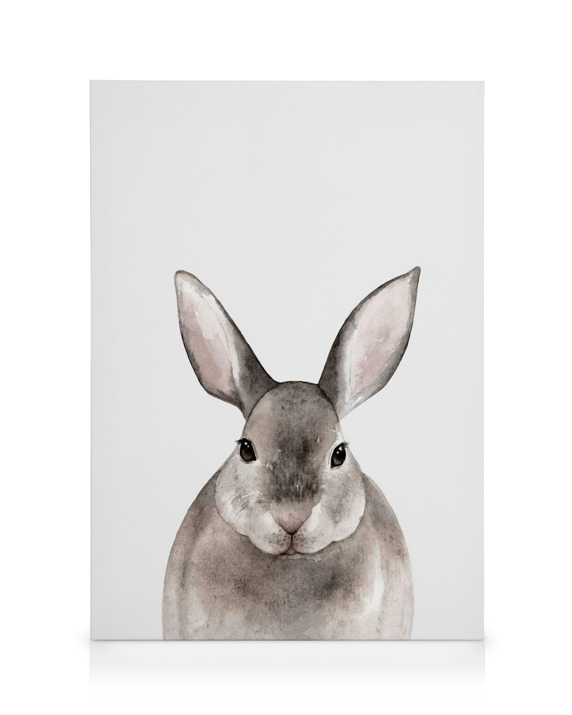 Canvas Prints - Little Rabbit Canvas print (50x70 cm - Black Frame) - Poster Store