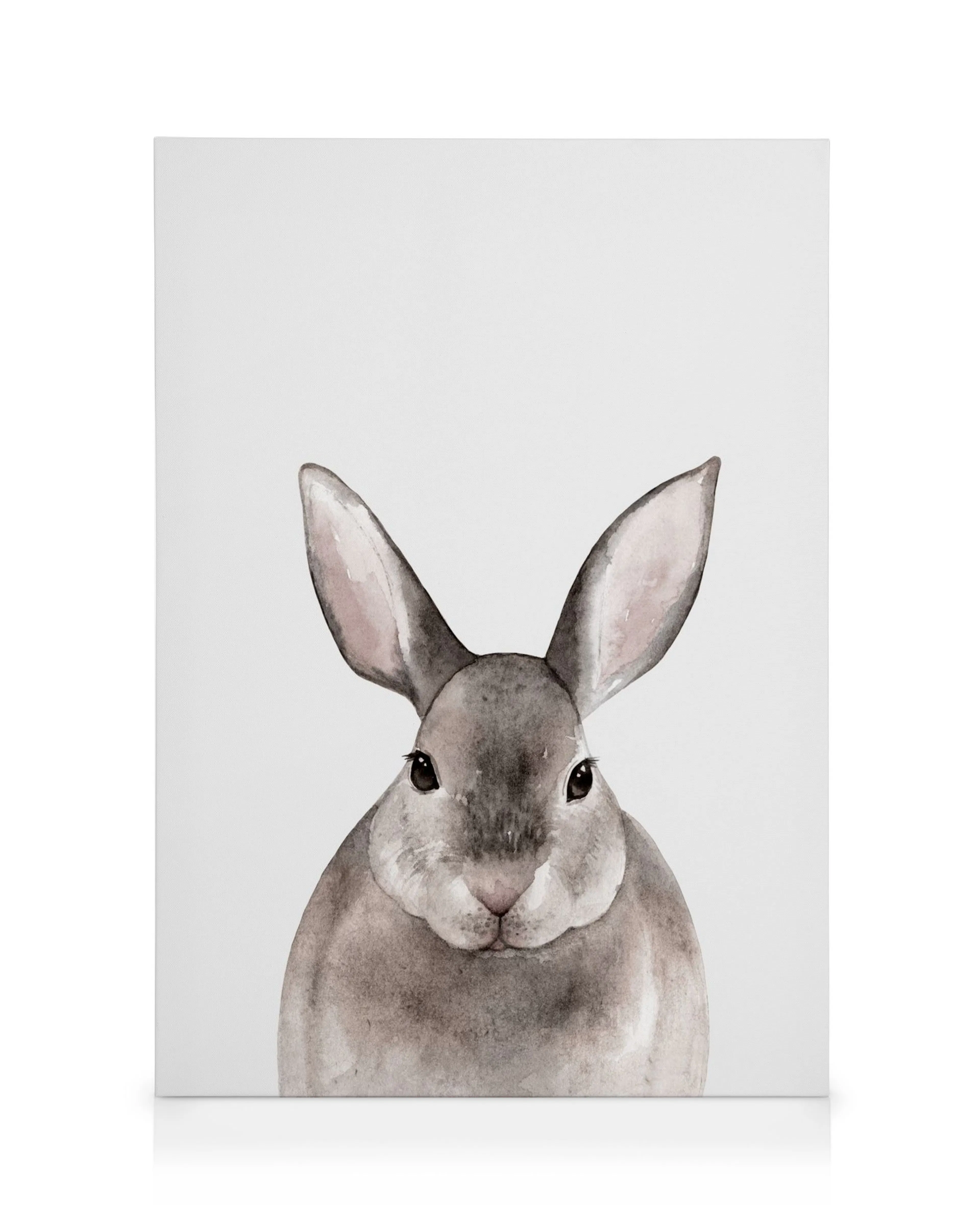 Little Rabbit Canvas print 0