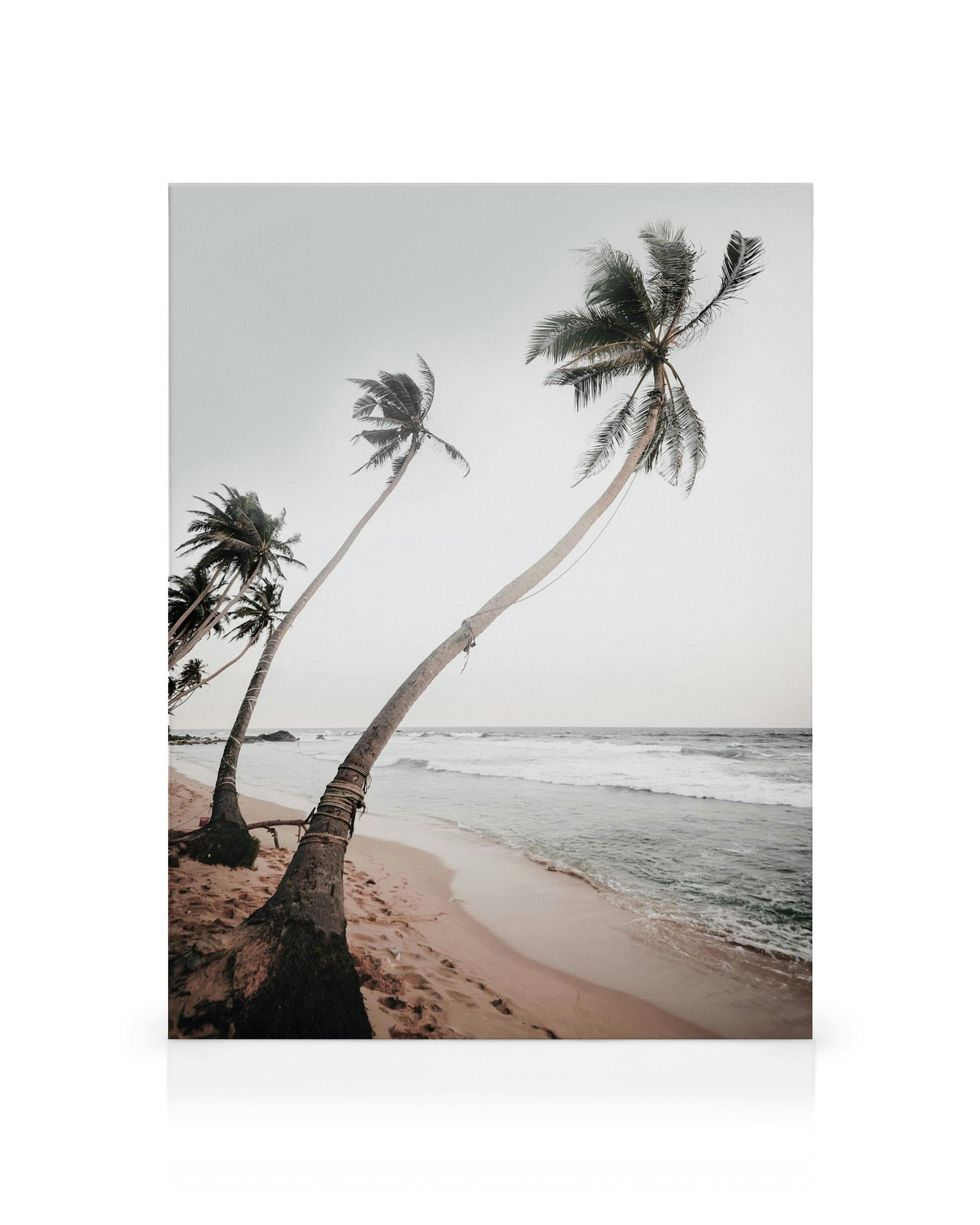 Product image: 1