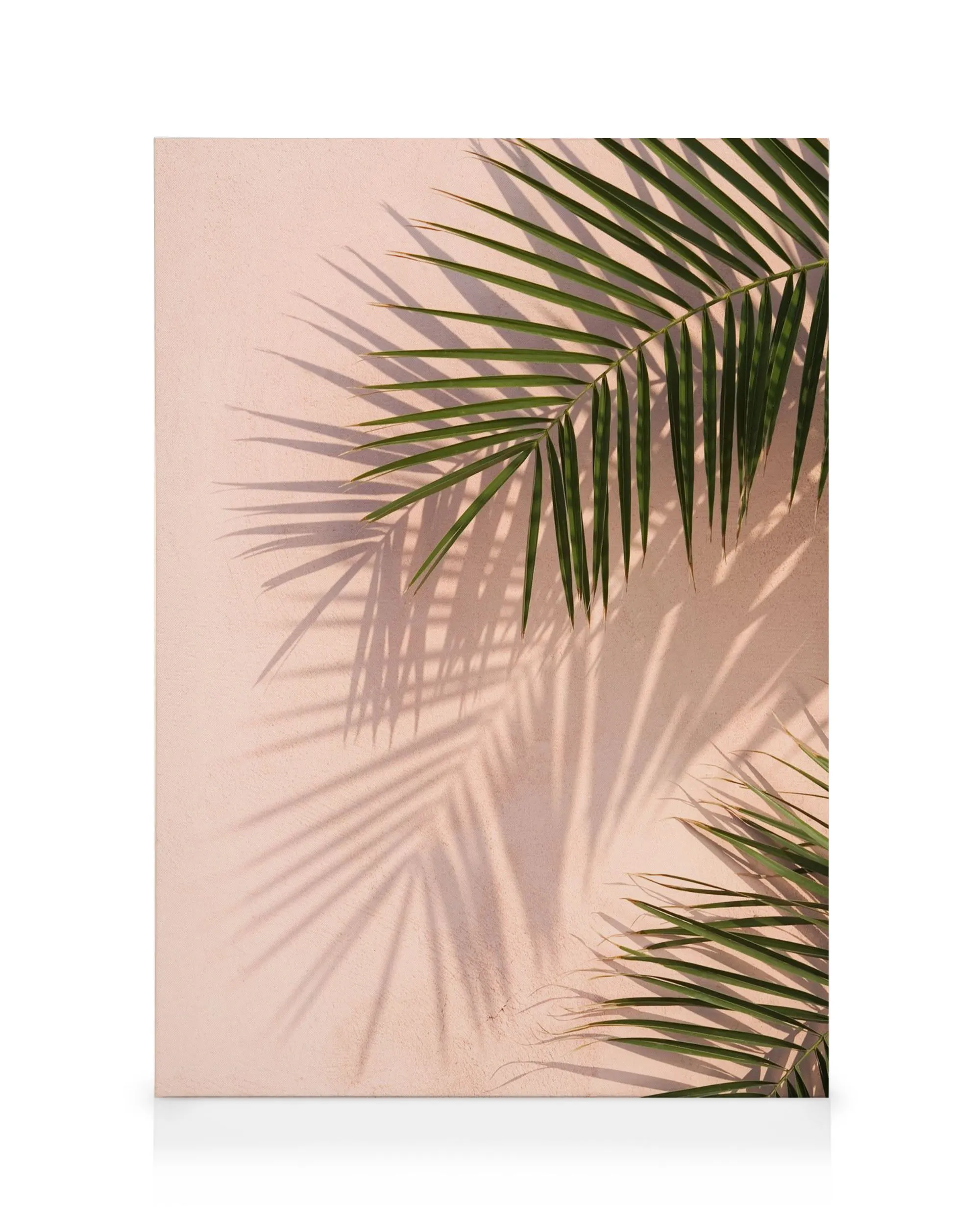 Pink Palm Canvas print 0