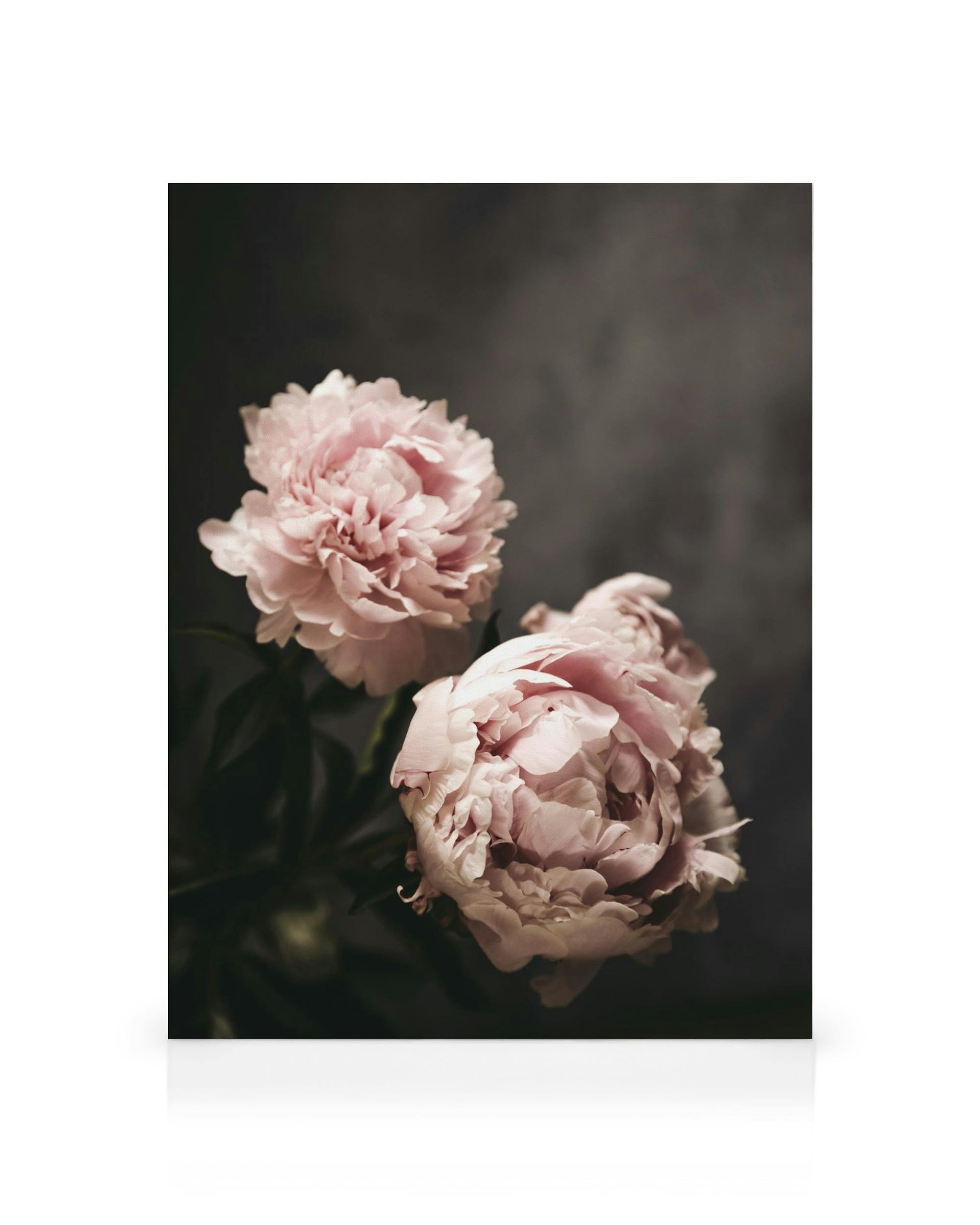 Product image: 1