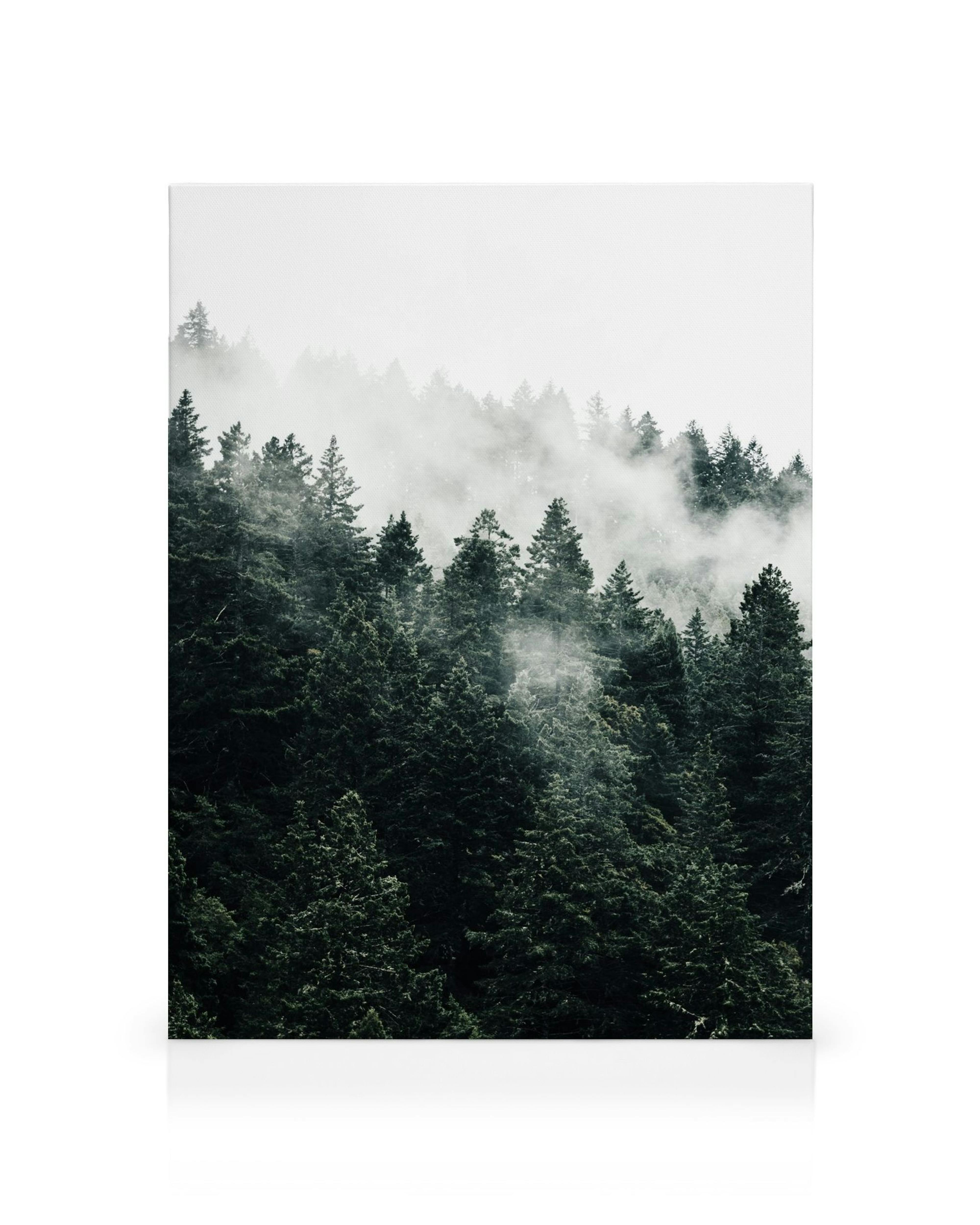 Product image: 1
