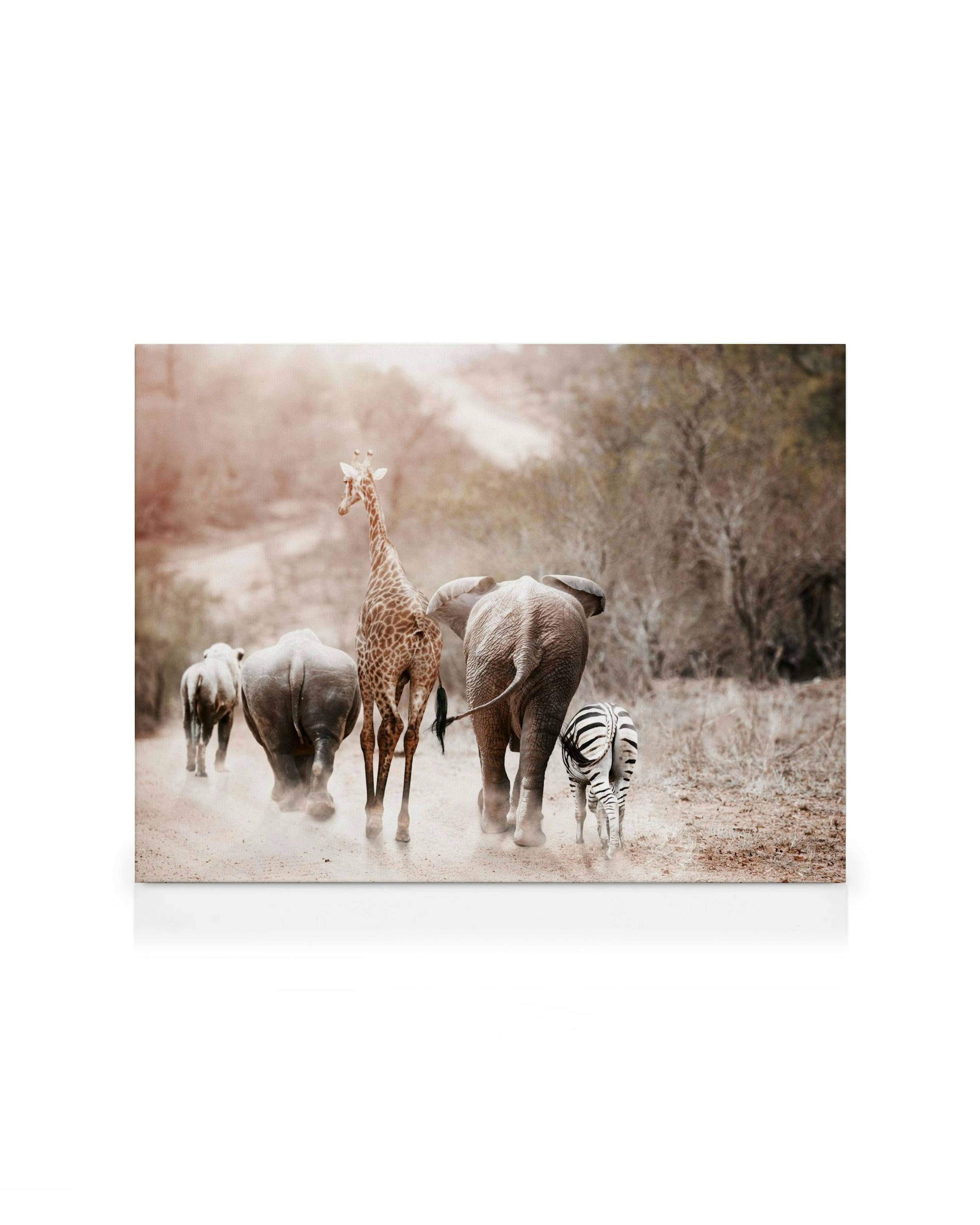 Product image: 1