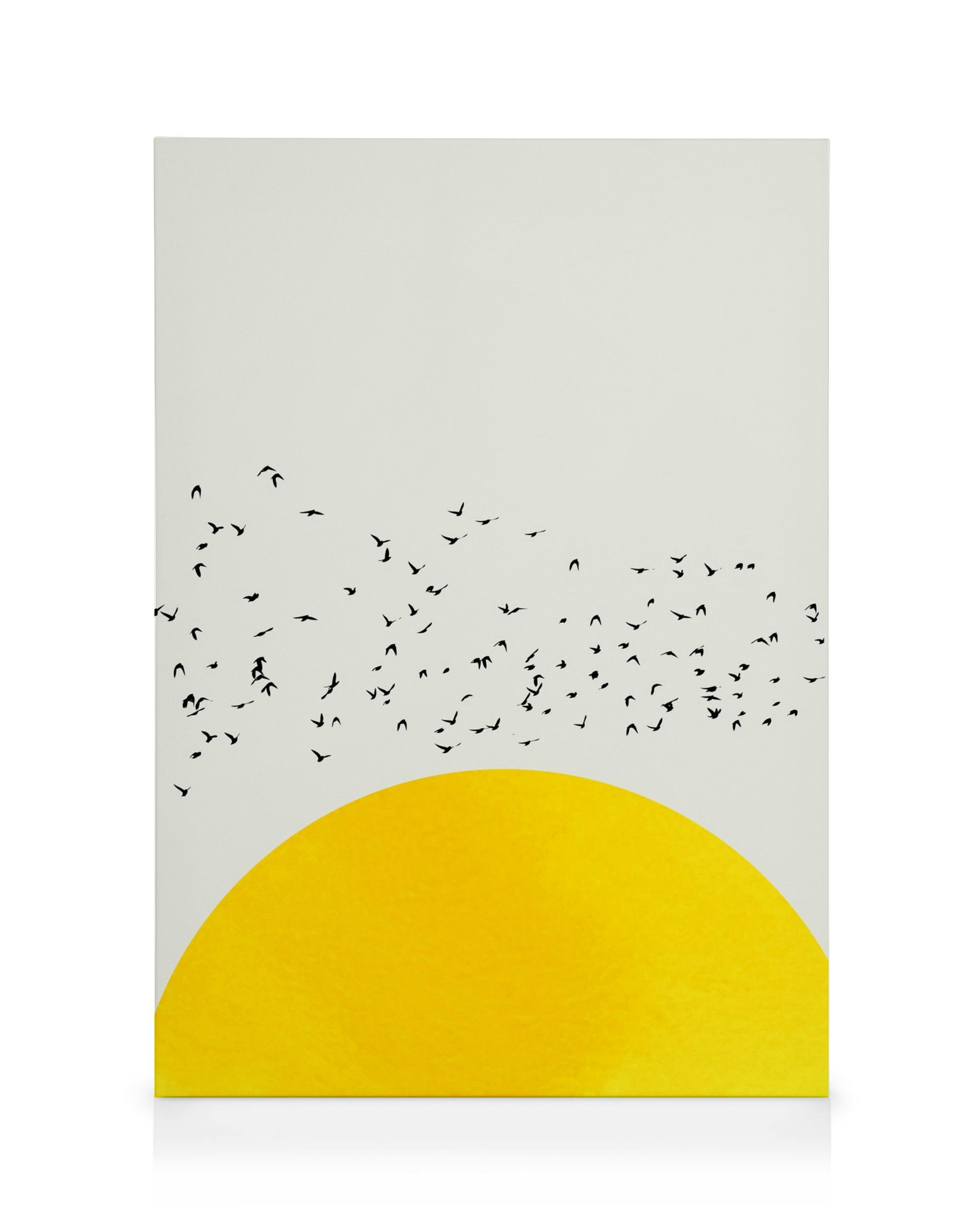 Boris Draschoff / Kubistika - A Thousand Birds Canvas print 0
