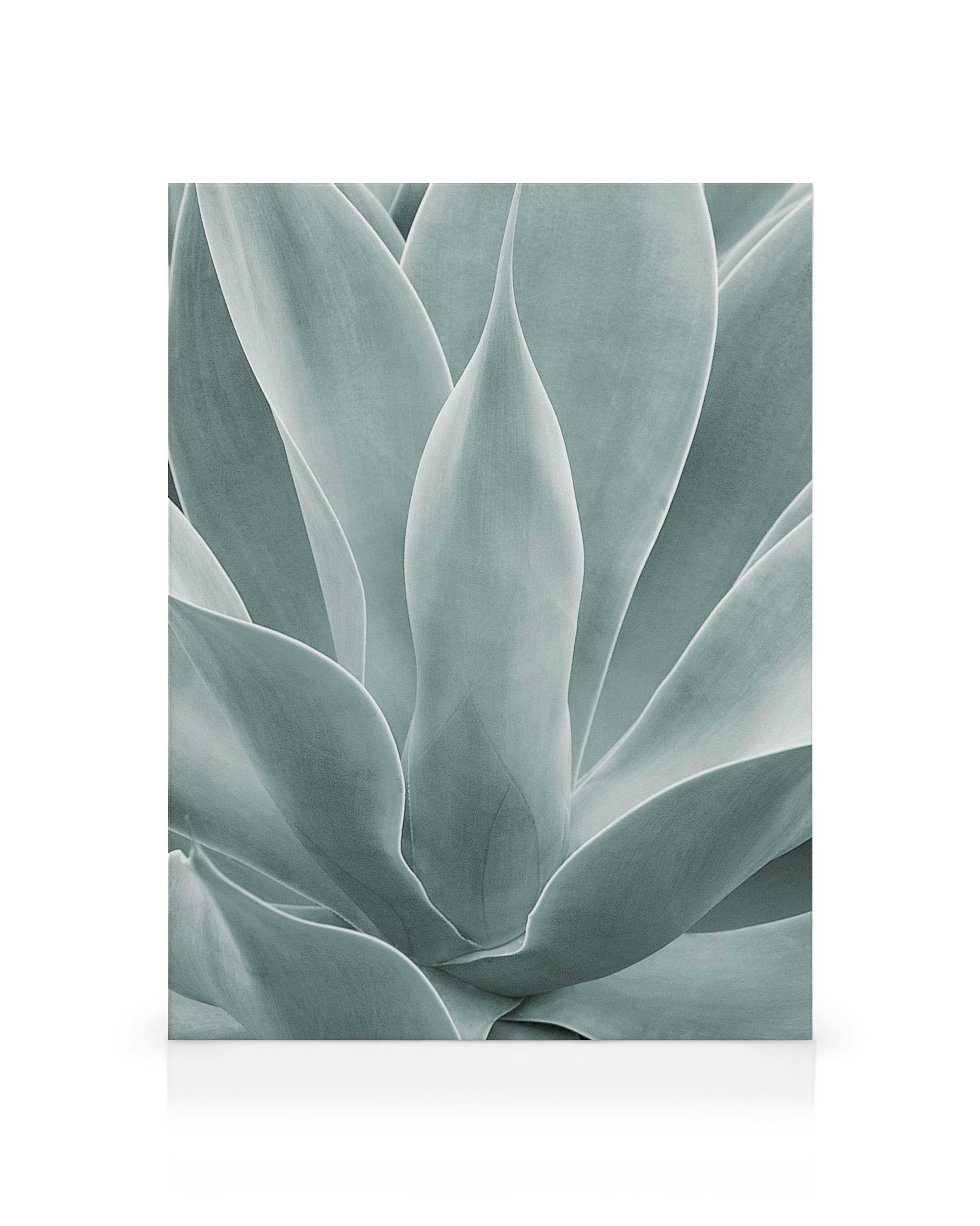 Product image: 1