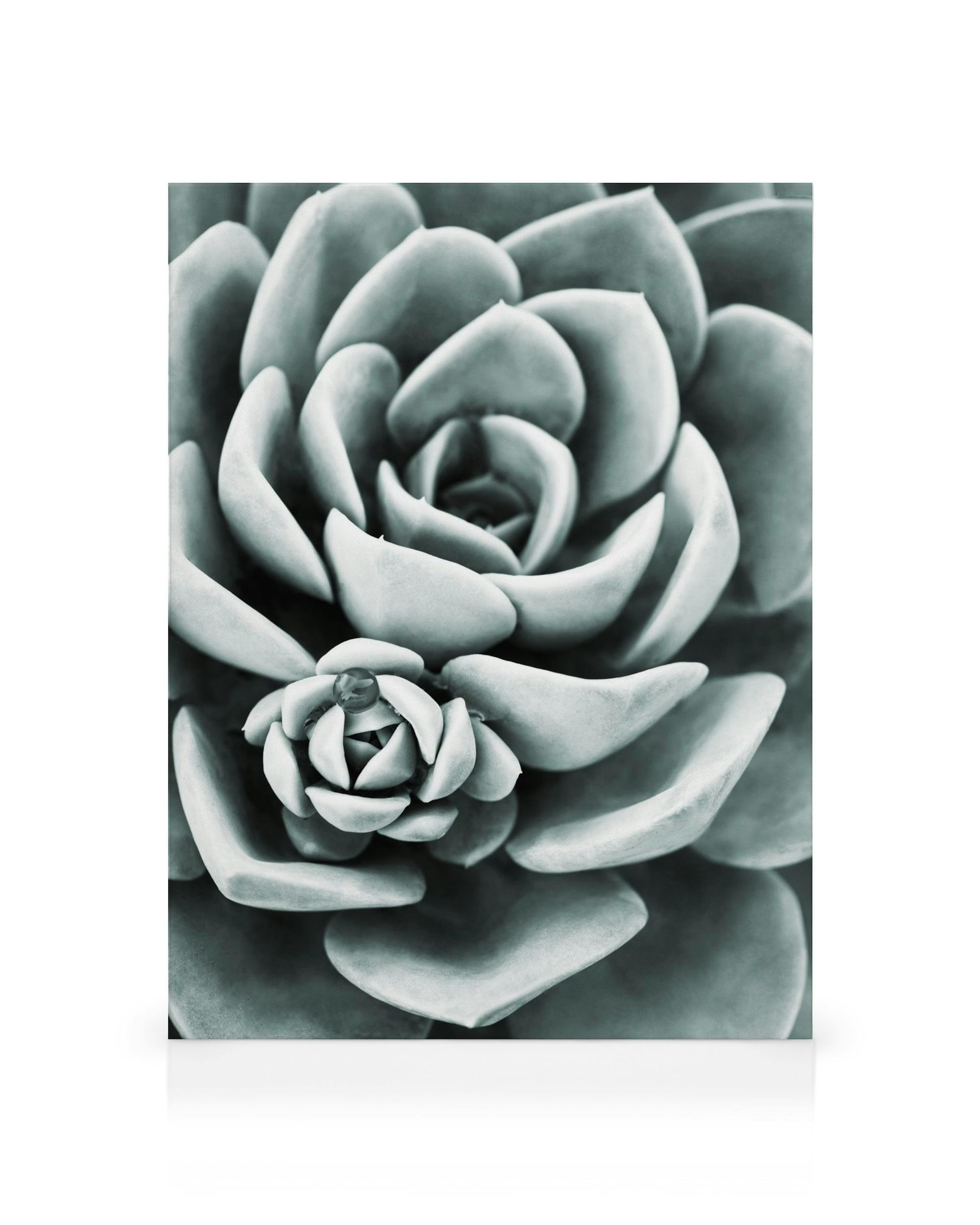 Product image: 1