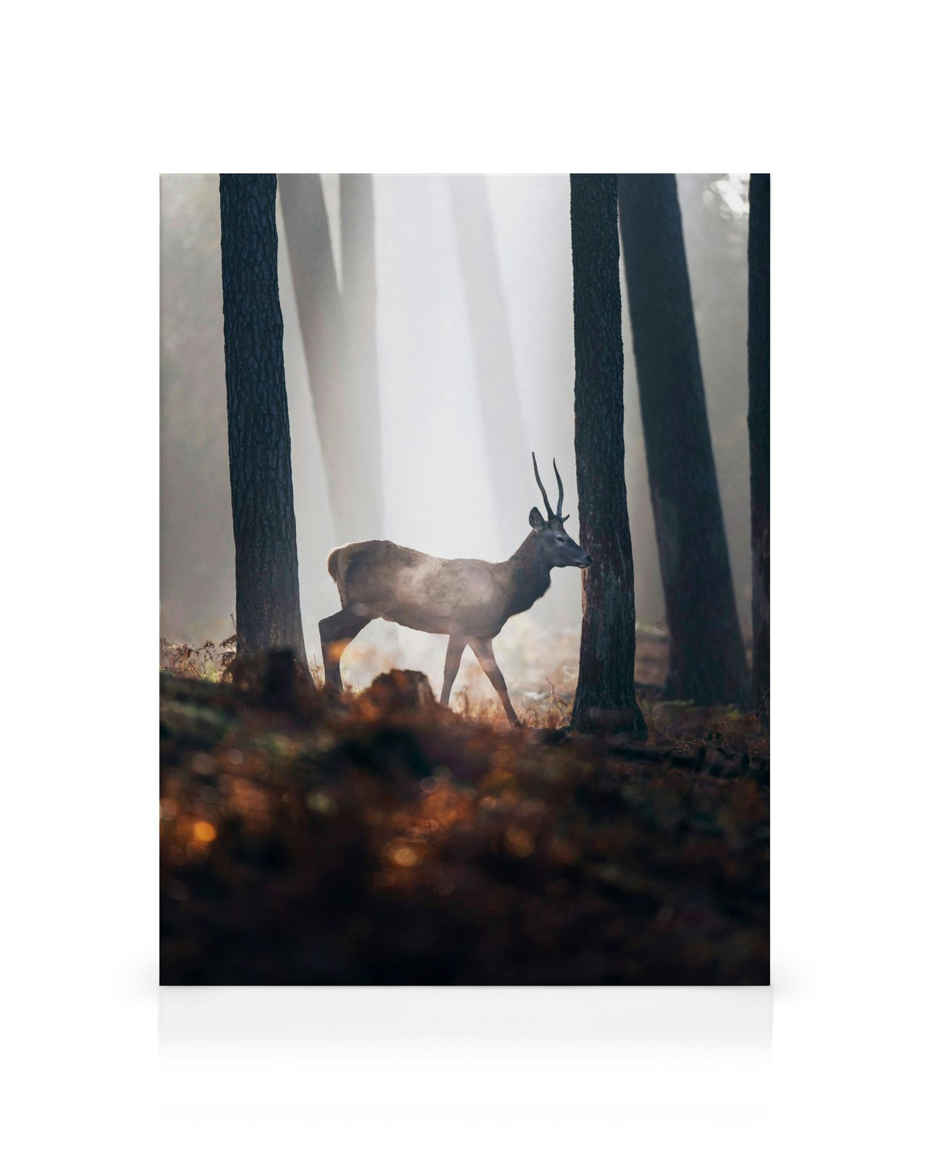 Product image: 1