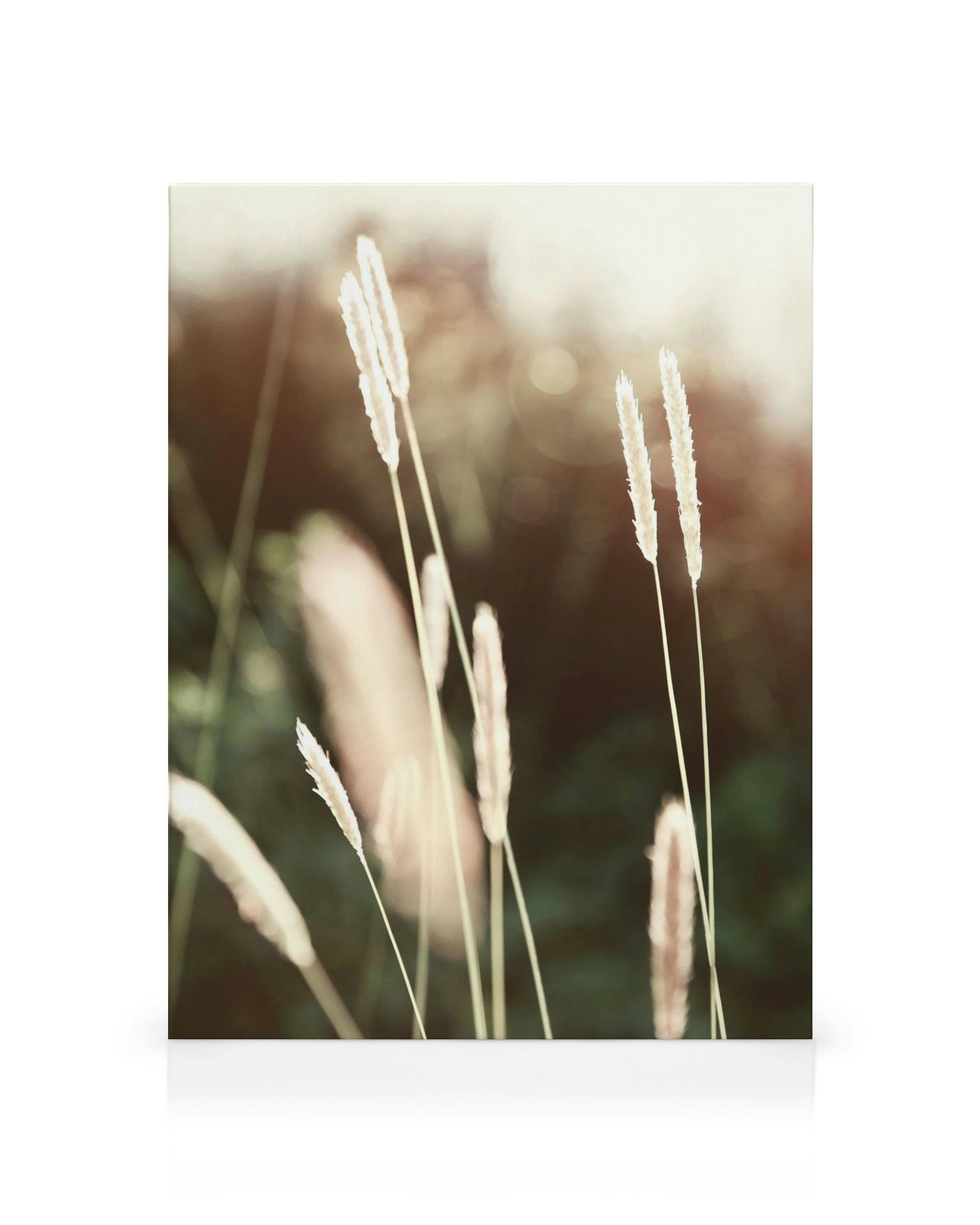 Product image: 1