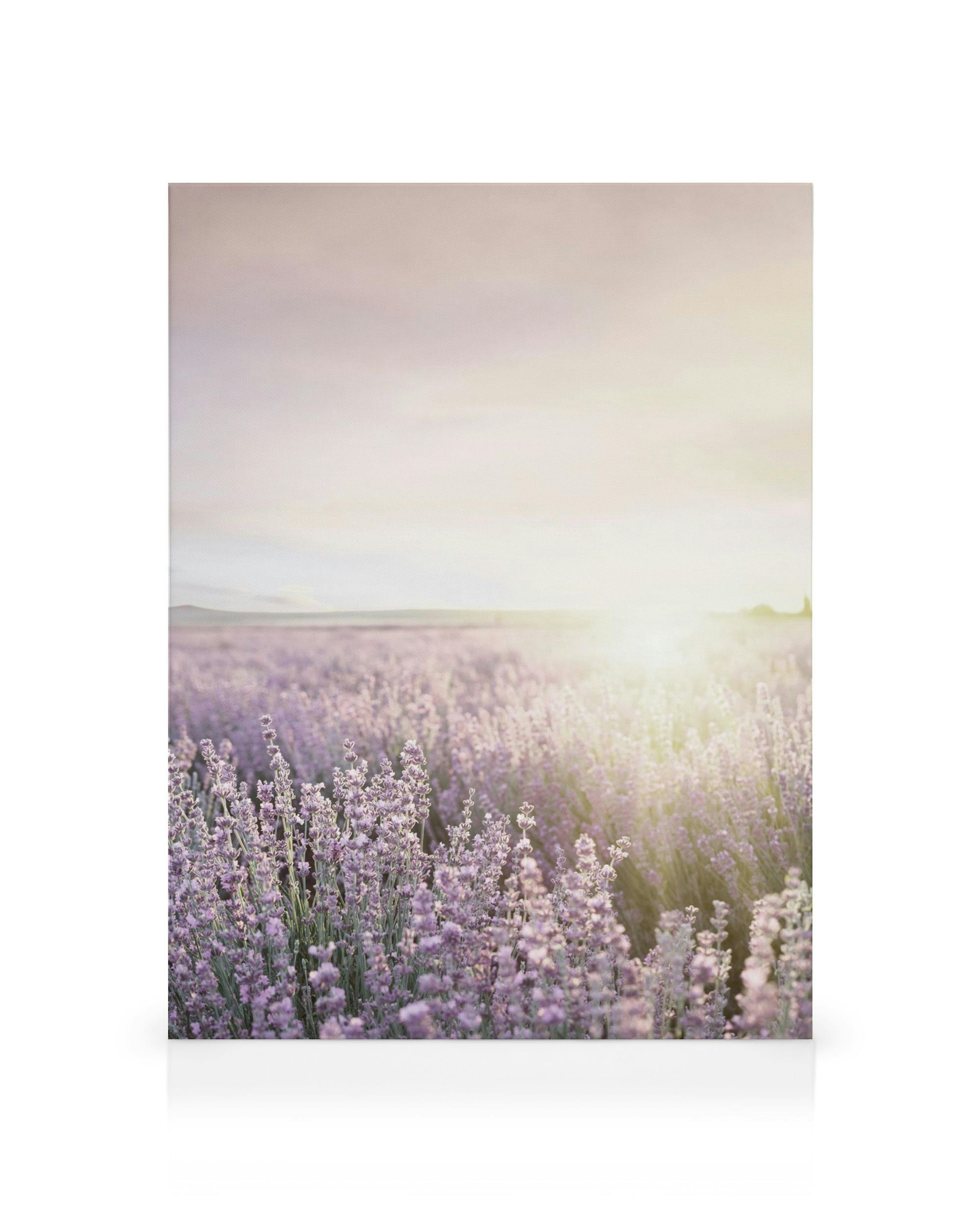 Product image: 1