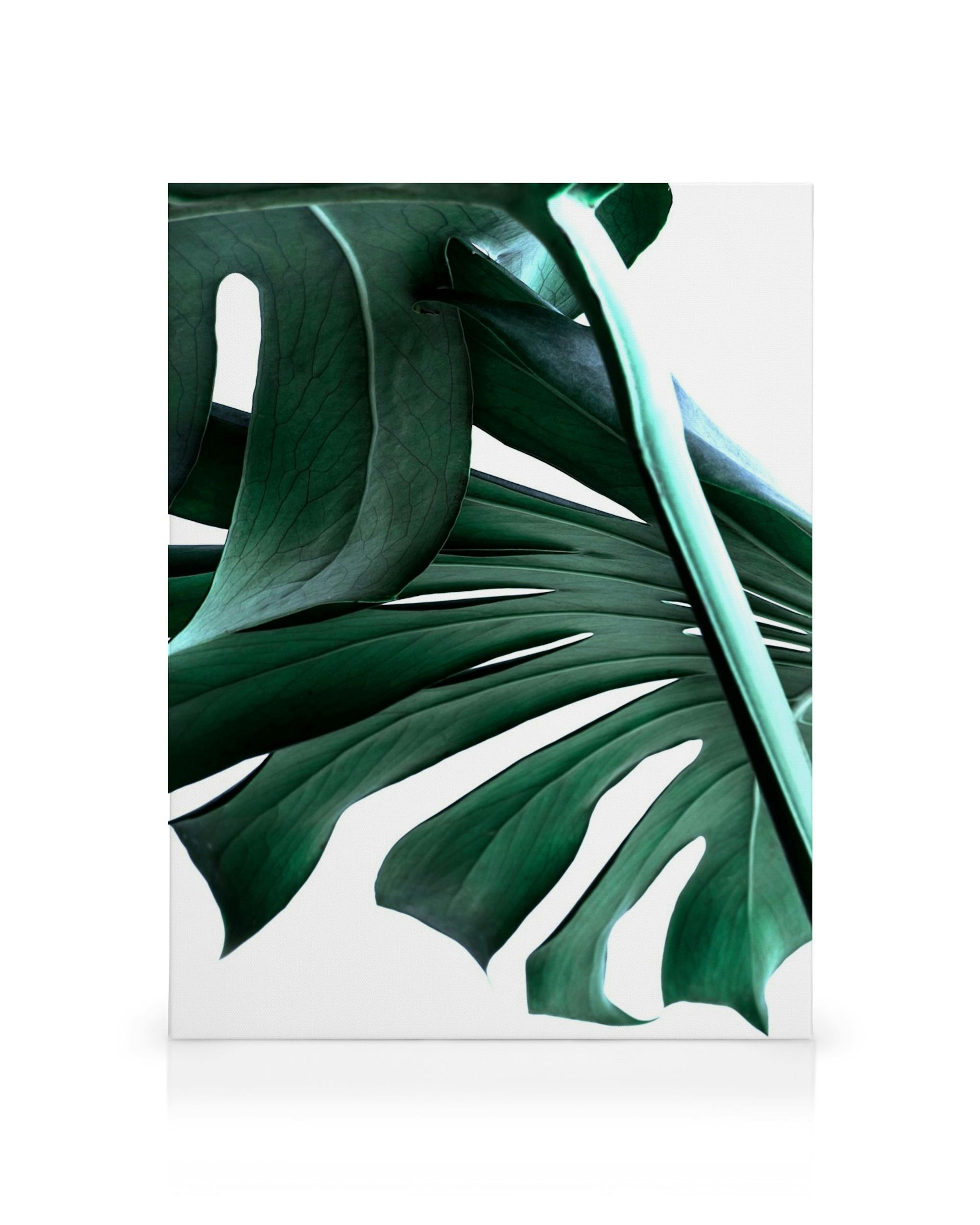 Product image: 1