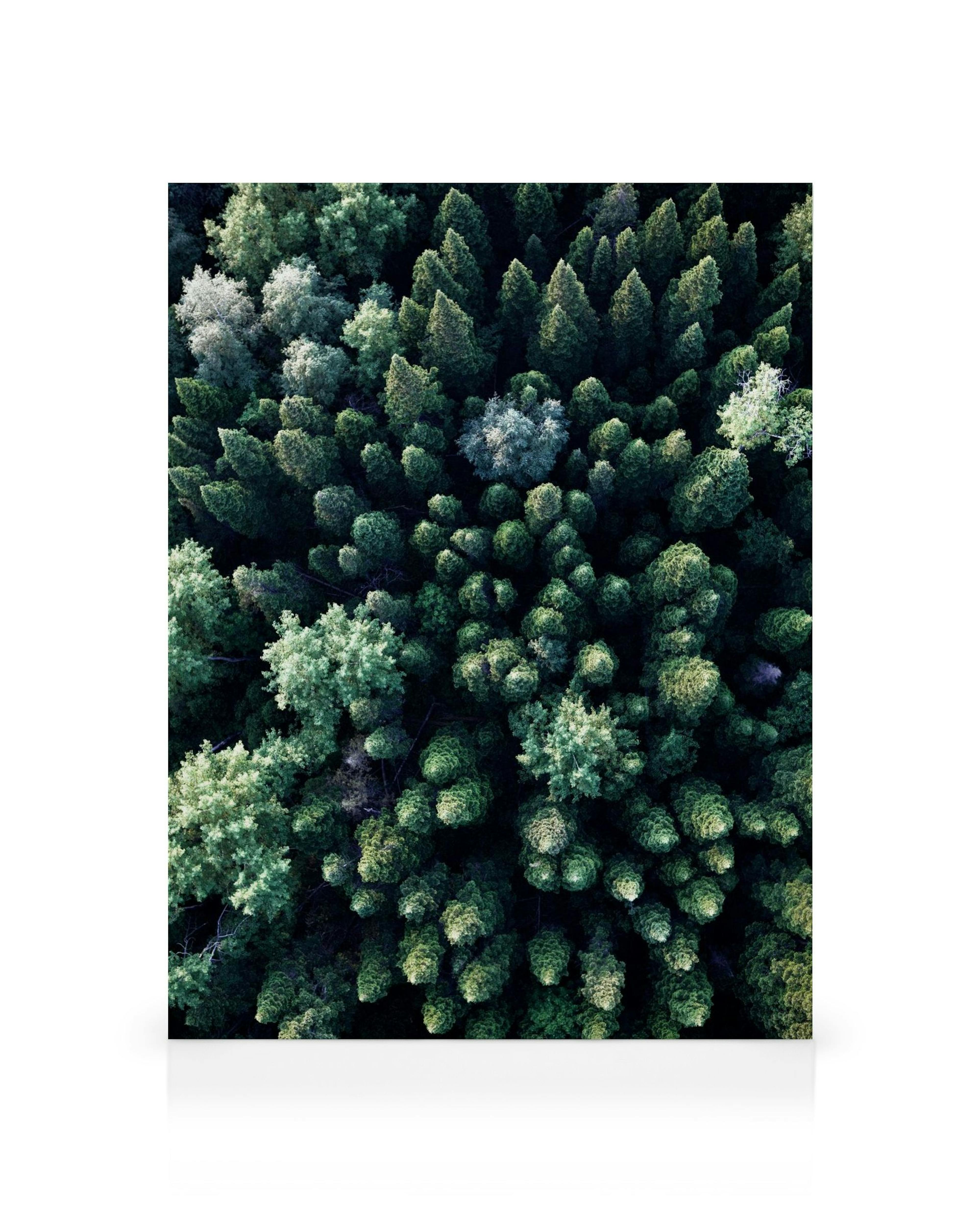 Product image: 1