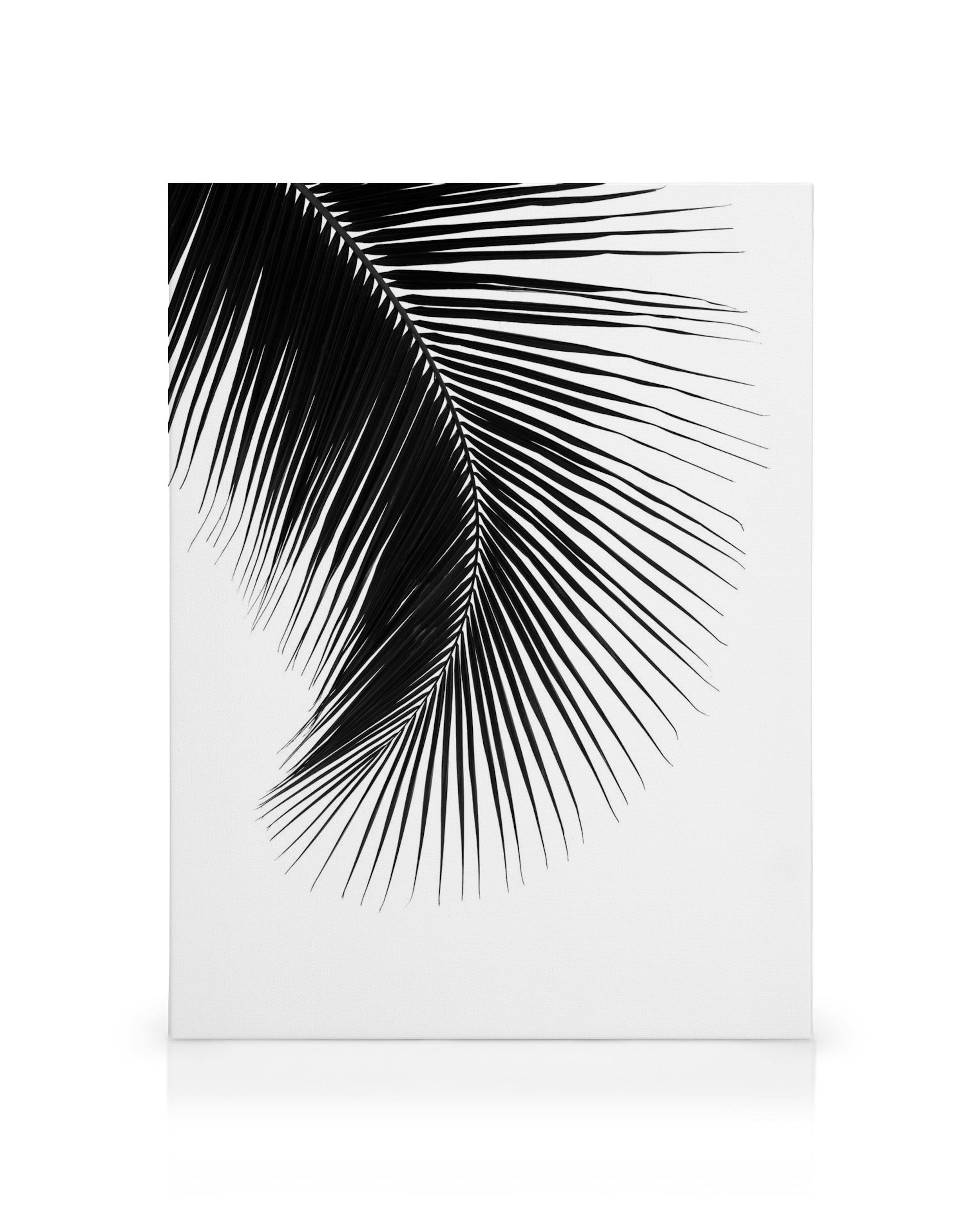Product image: 1