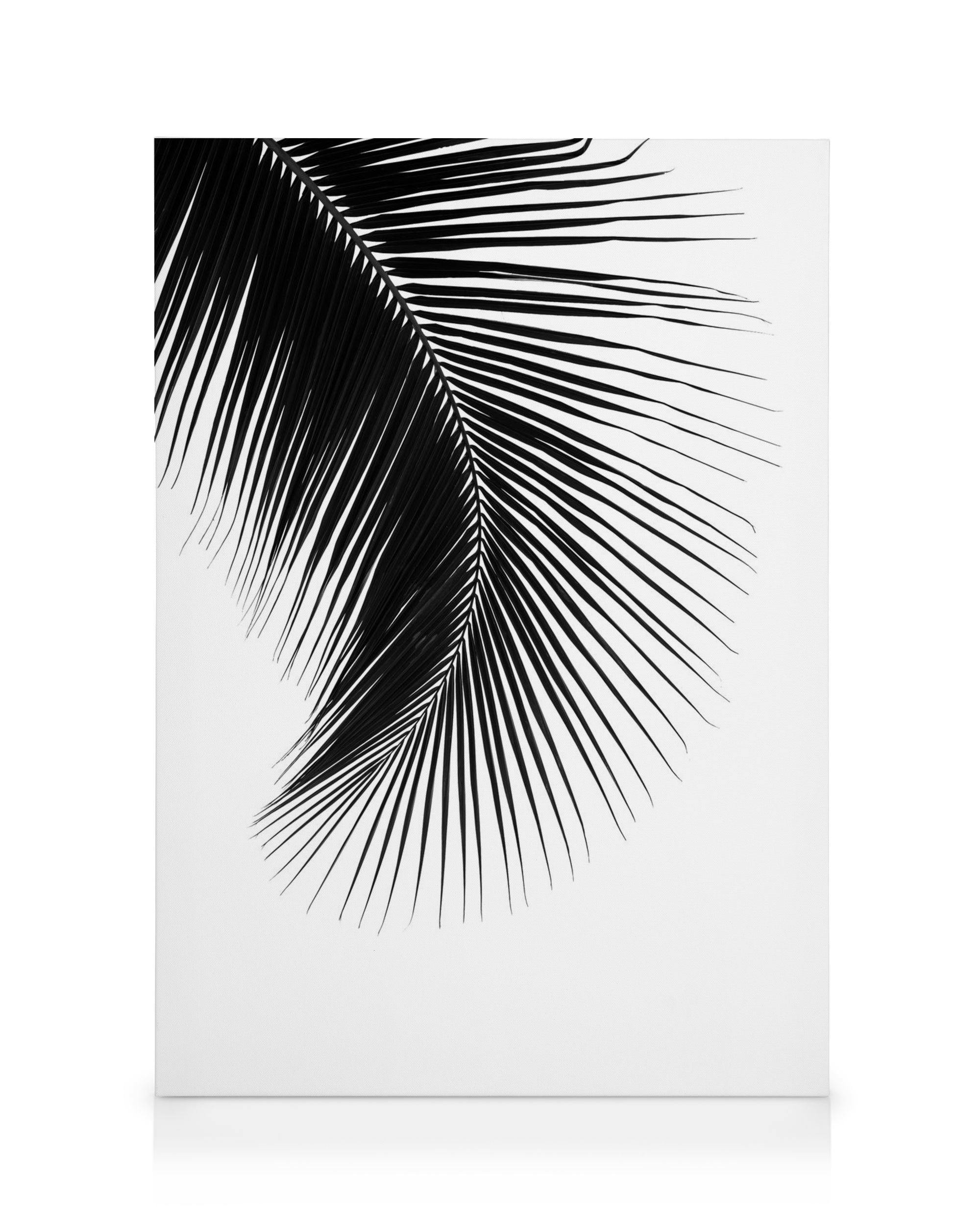 Zwart Palmblad, Canvas (50x70 cm - Fotokaders zwart) - Poster Store