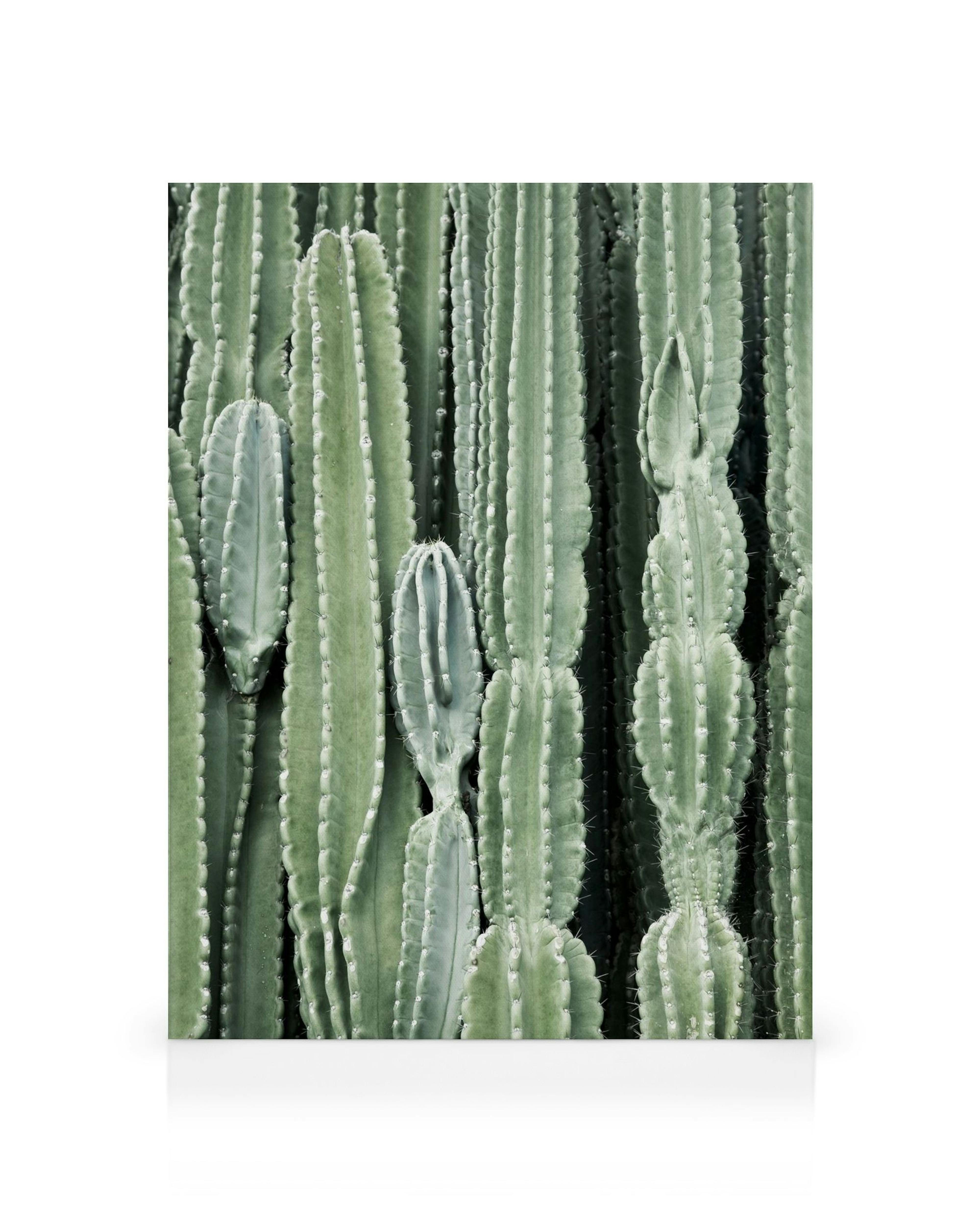 Product image: 1