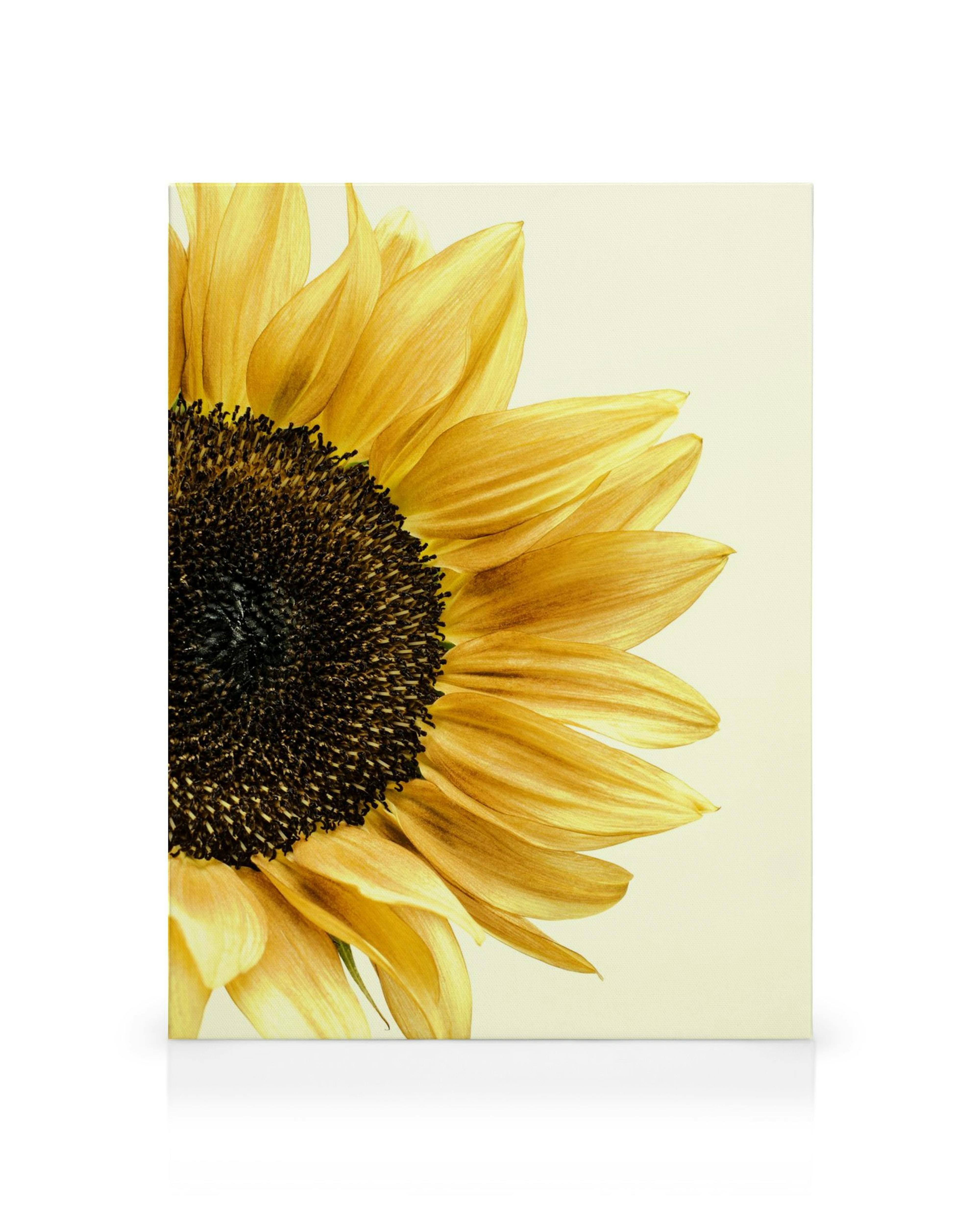 Product image: 1