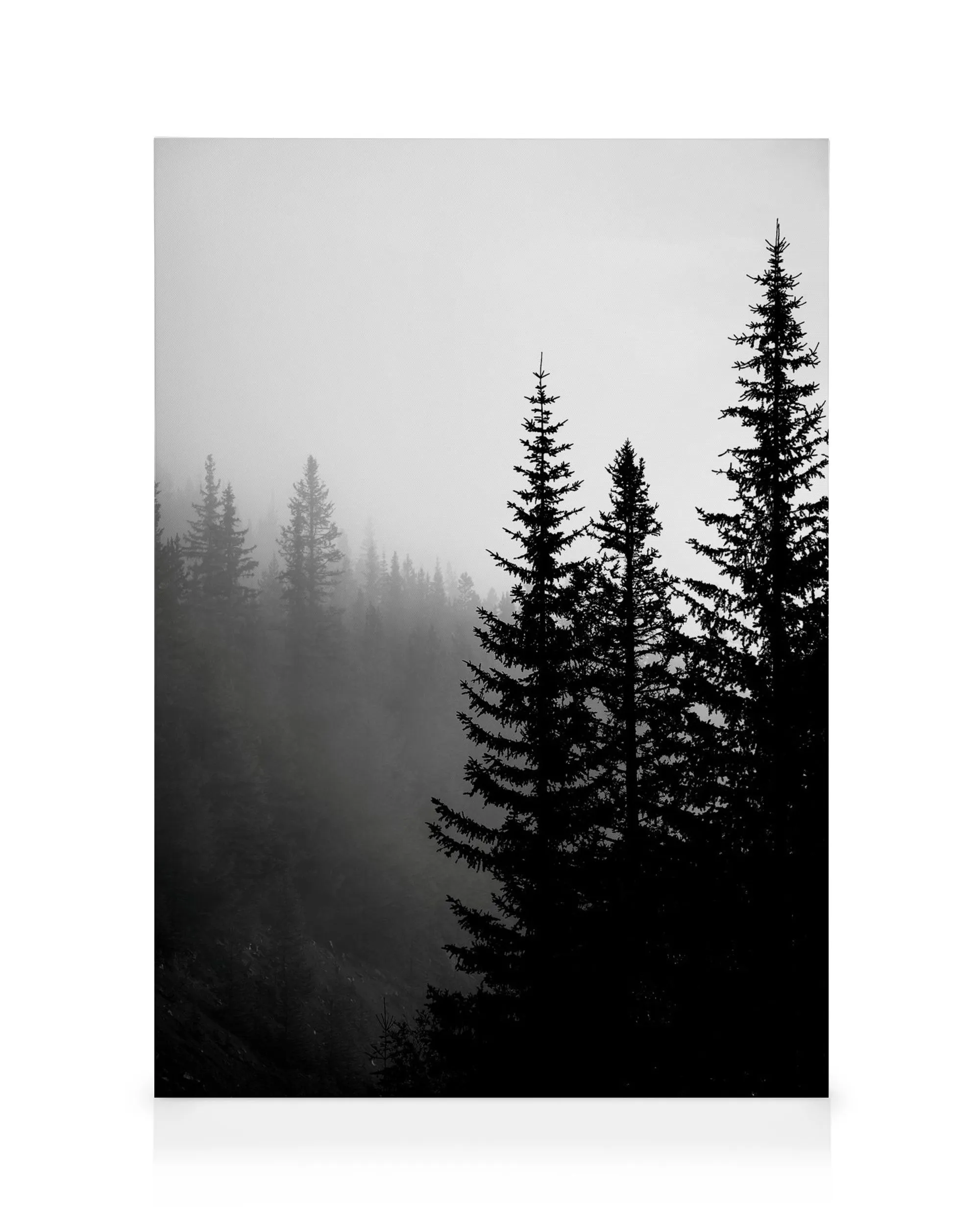 Tree Tops B&W Canvas print 0