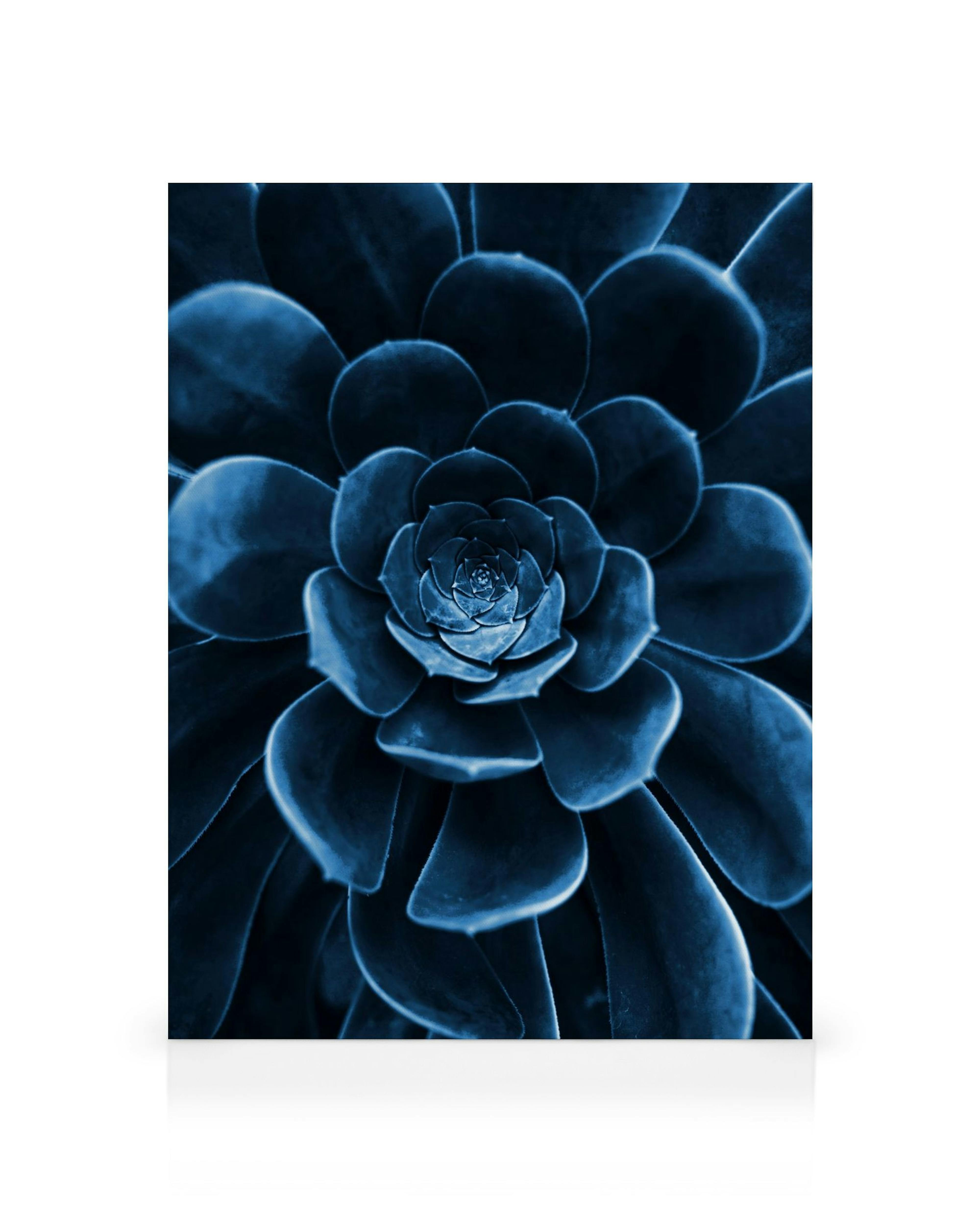 Product image: 1