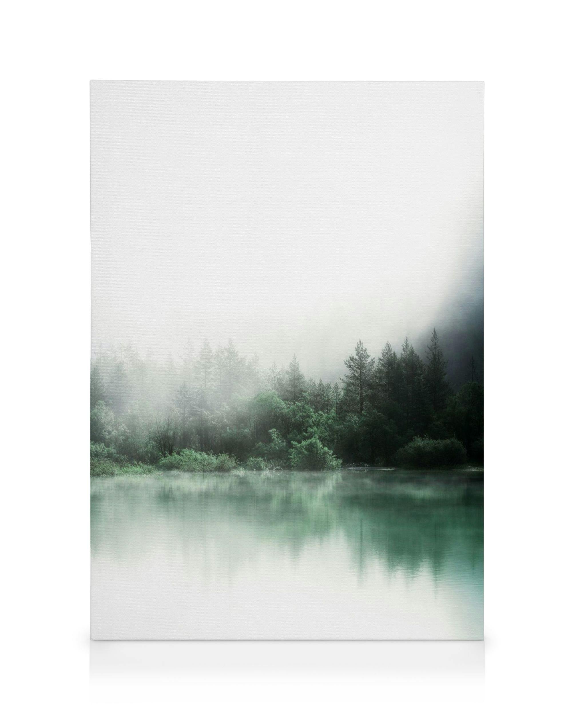 Canvas Prints - Forest Reflections Canvas print (30x40 cm) - Poster Store