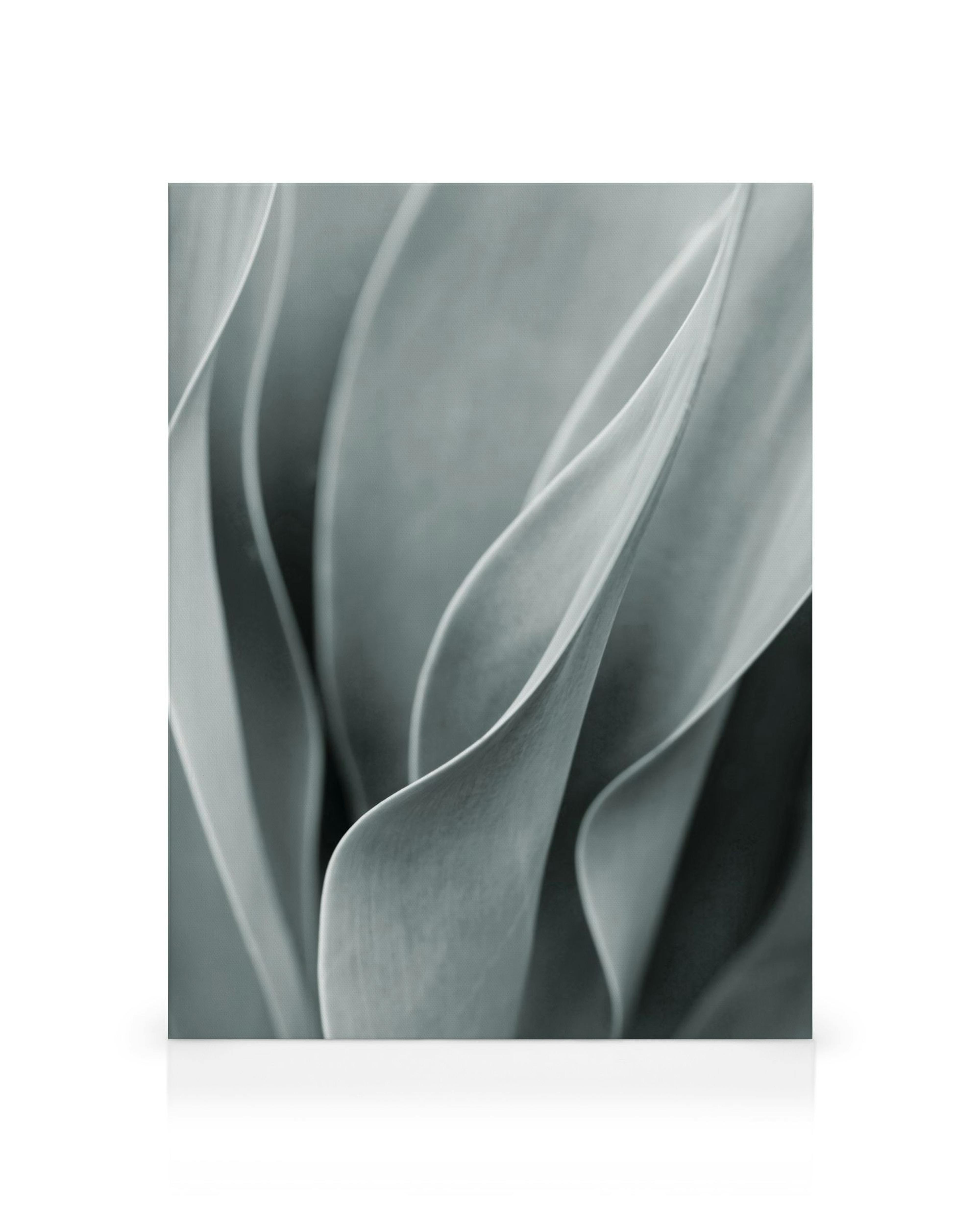 Product image: 1