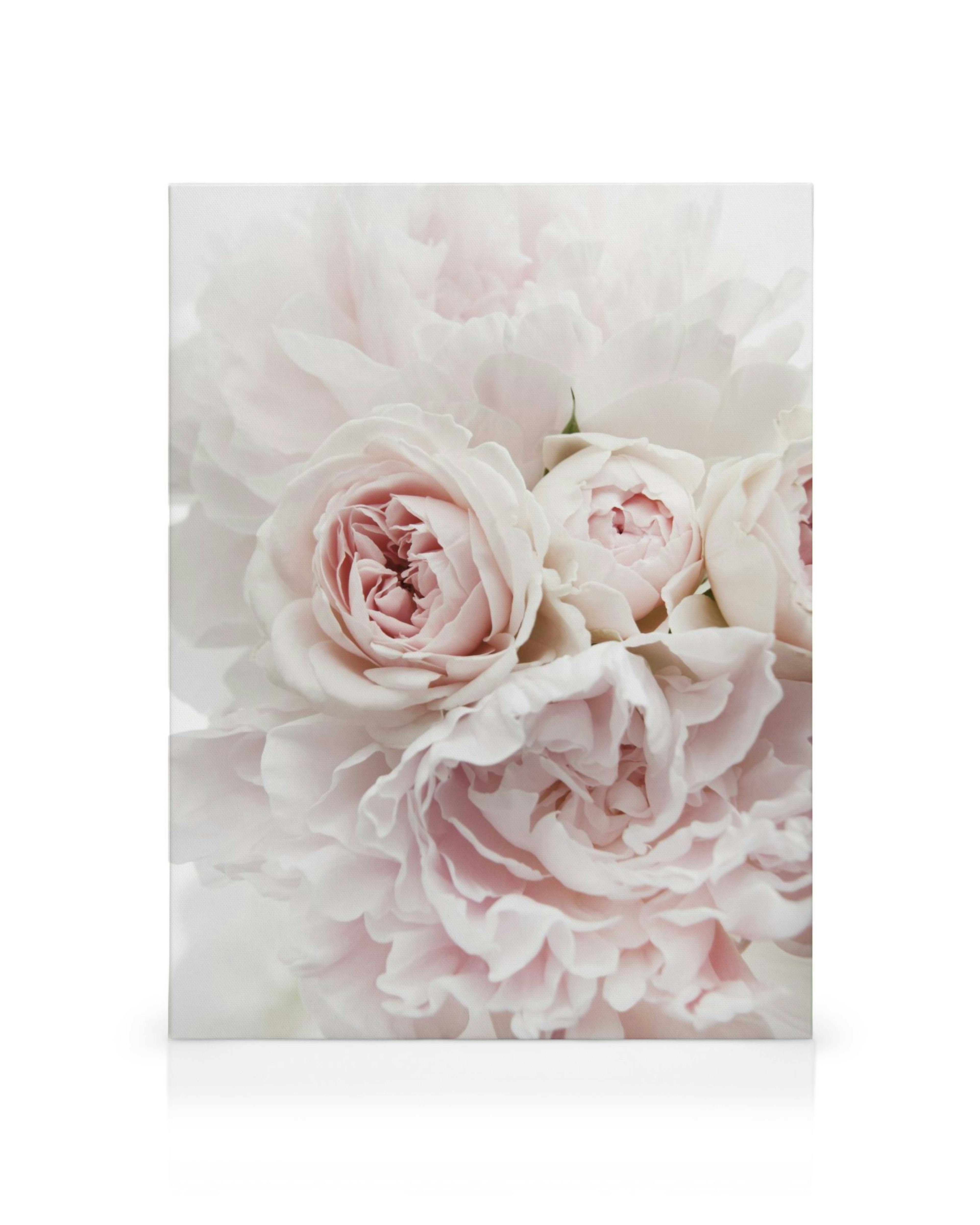 Product image: 1