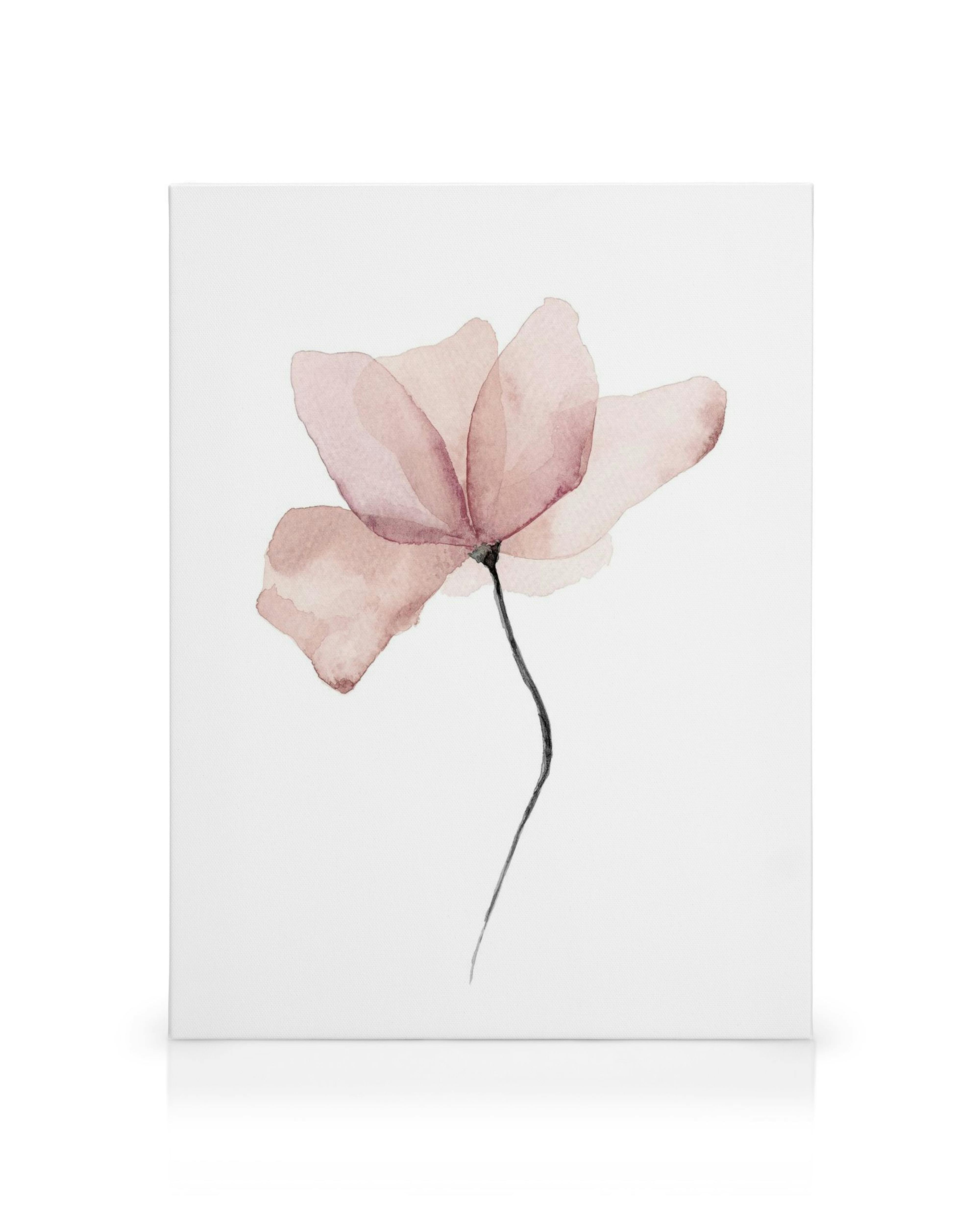 Product image: 1