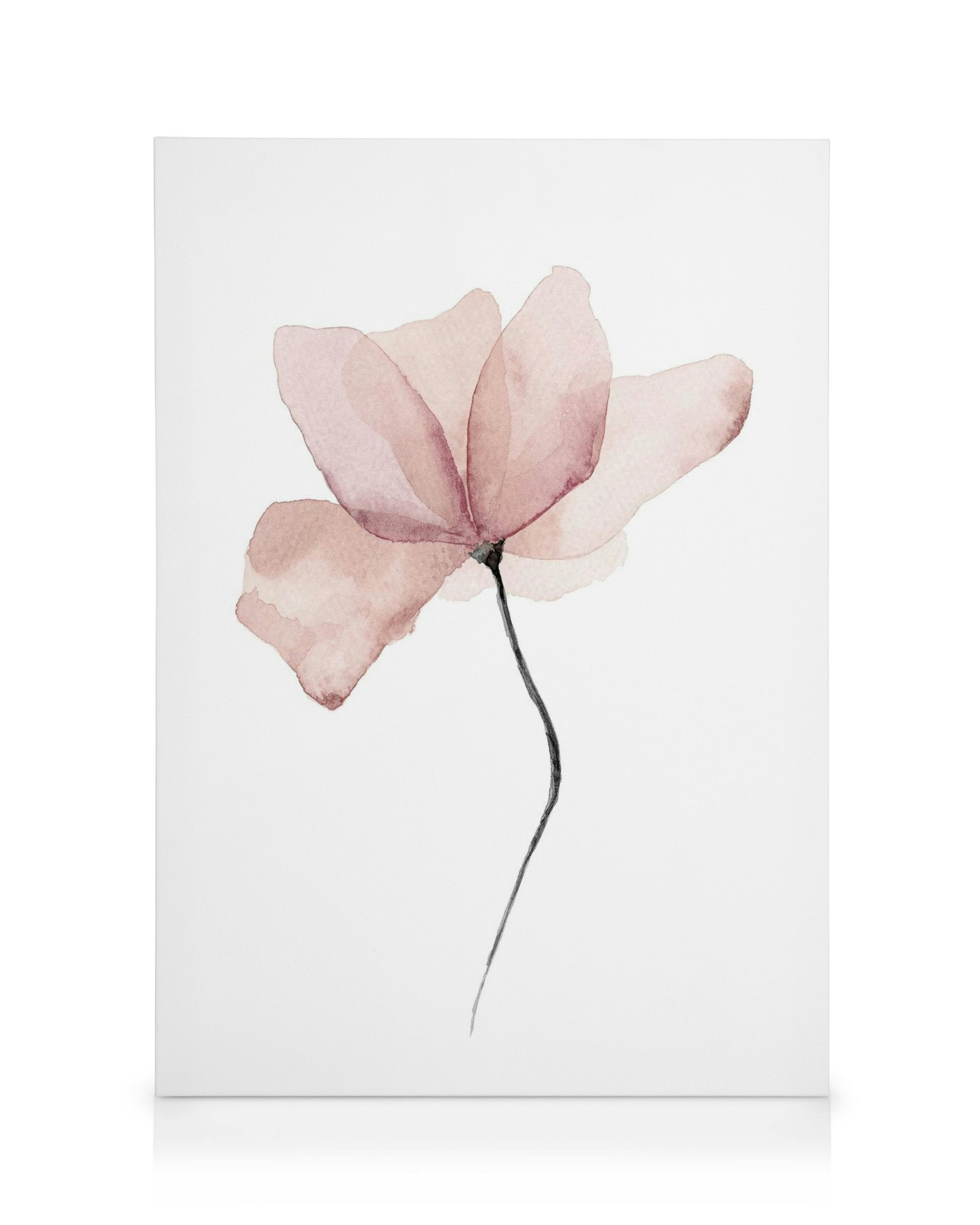 Aquarelle Bloem Canvas 0
