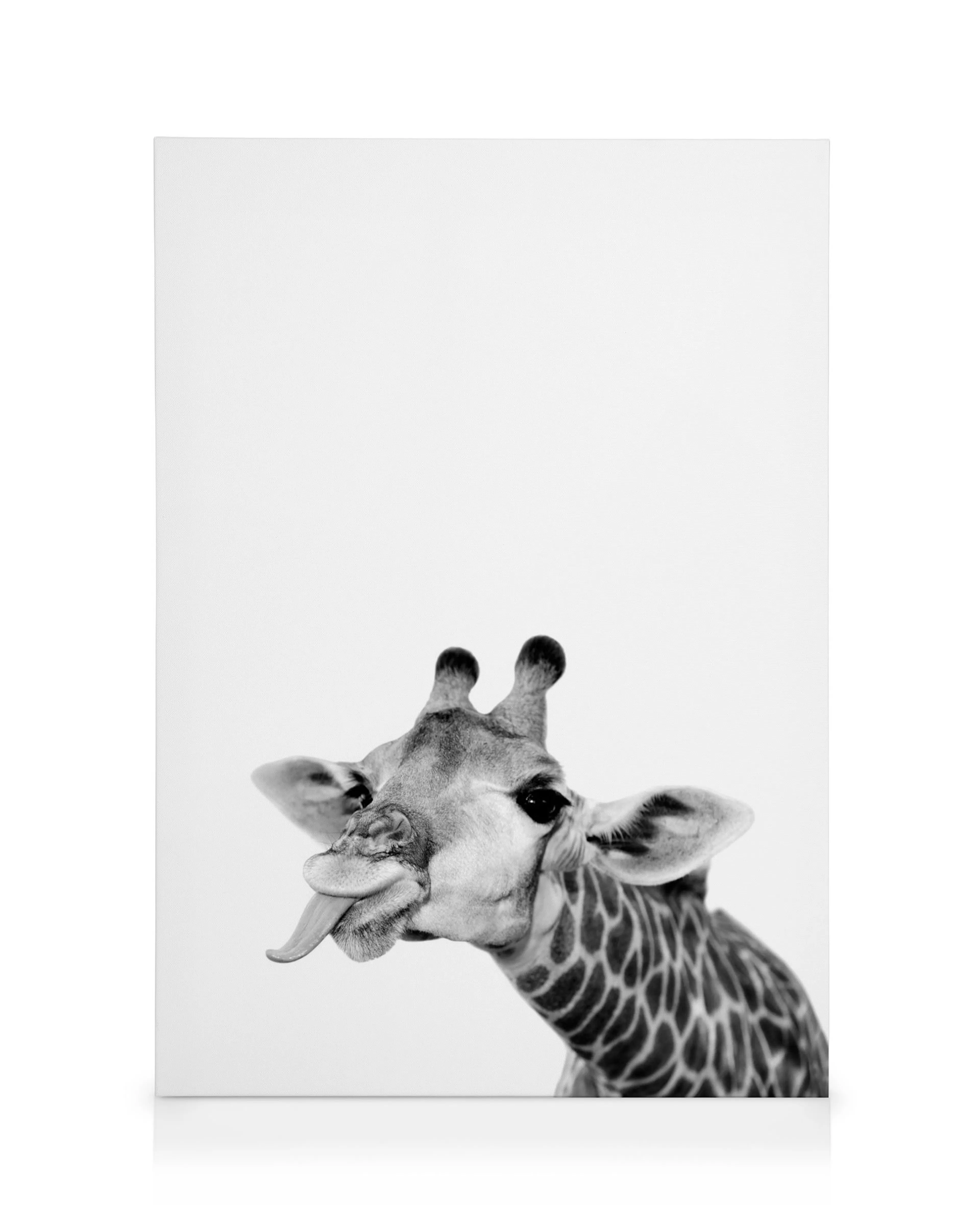 Goofy Giraffe Canvas print 0