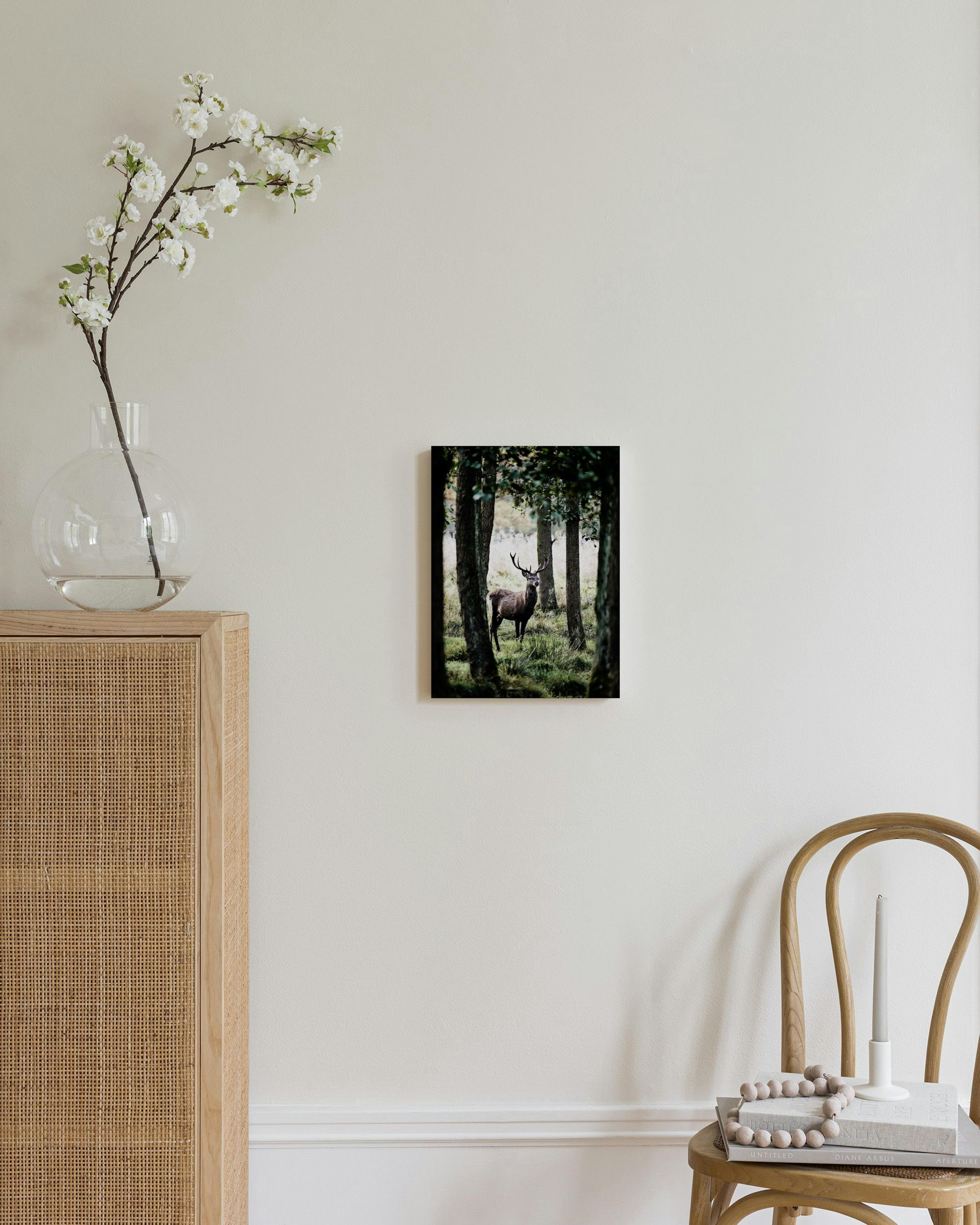 Product image: 2