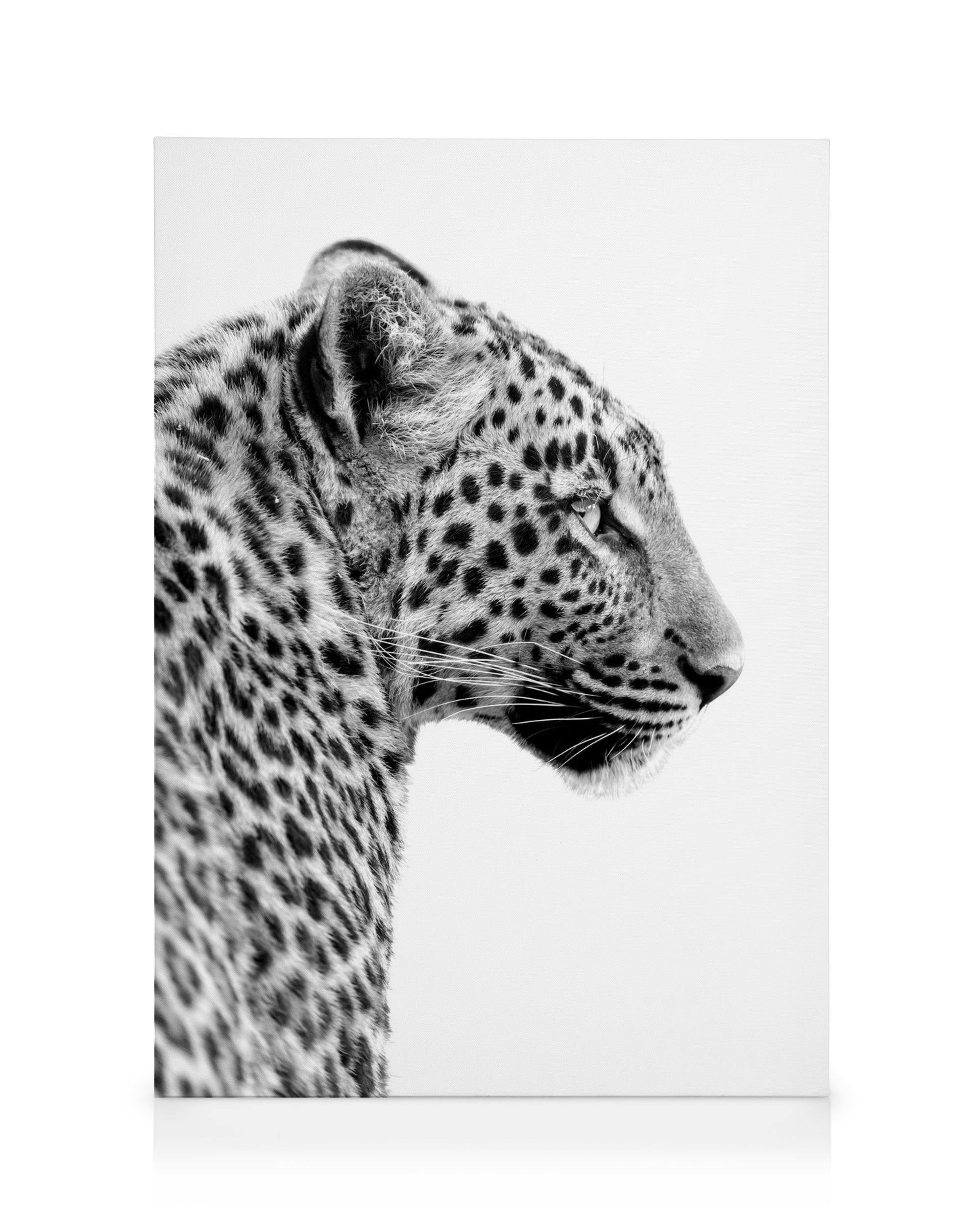 Lienzo perfil de leopardo (50x70 cm) - Poster Store