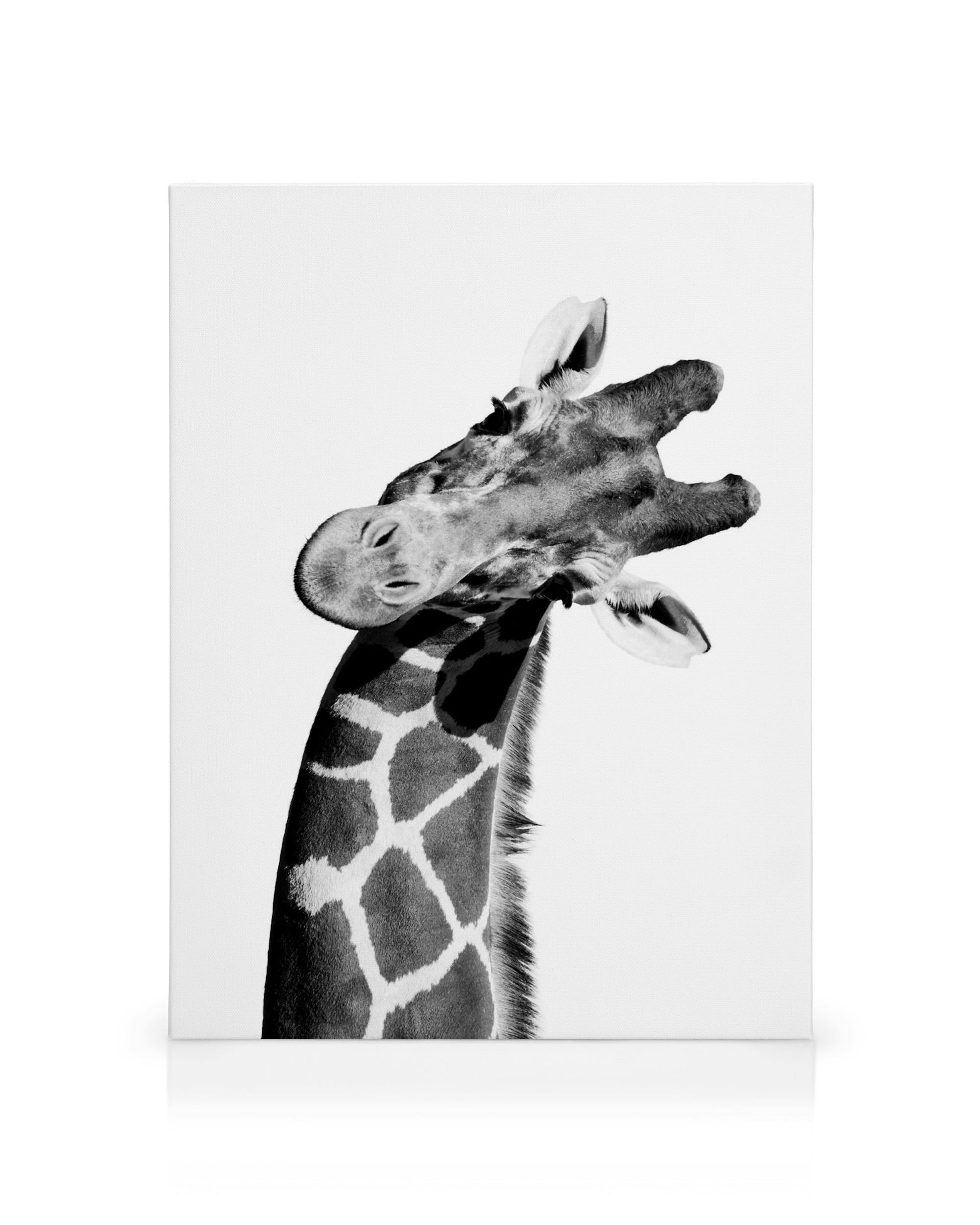 Product image: 1