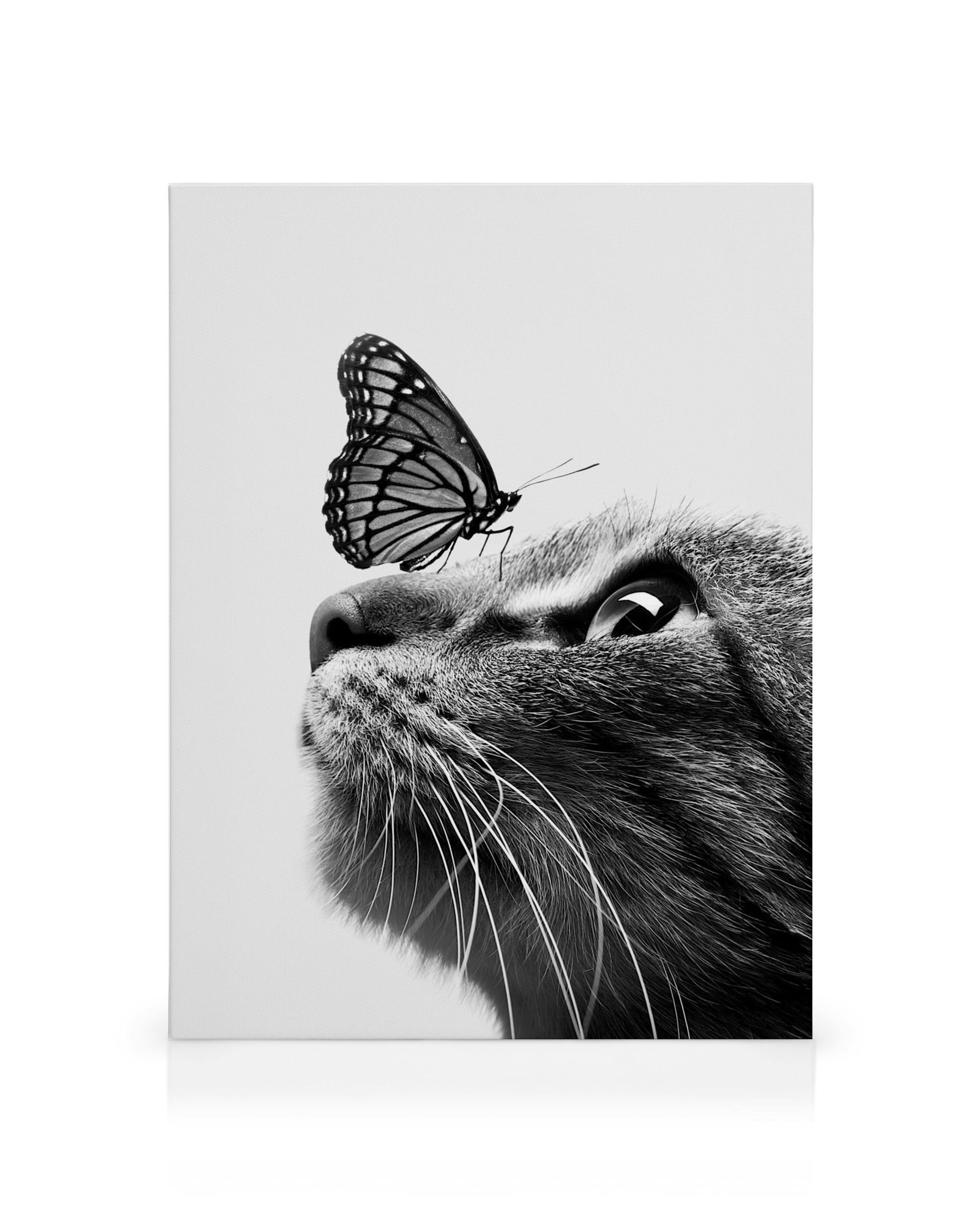 Product image: 1