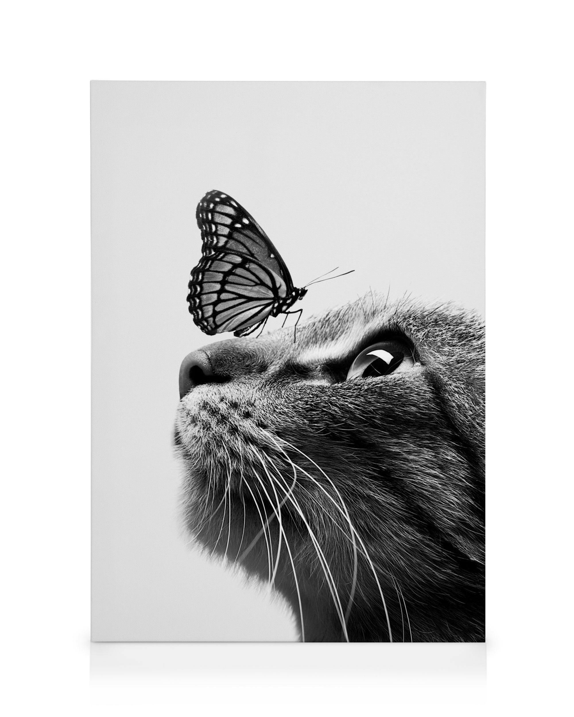 Canvas Prints - Butterfly Cat Canvas print (30x40 cm - Oak Frame) - Poster Store