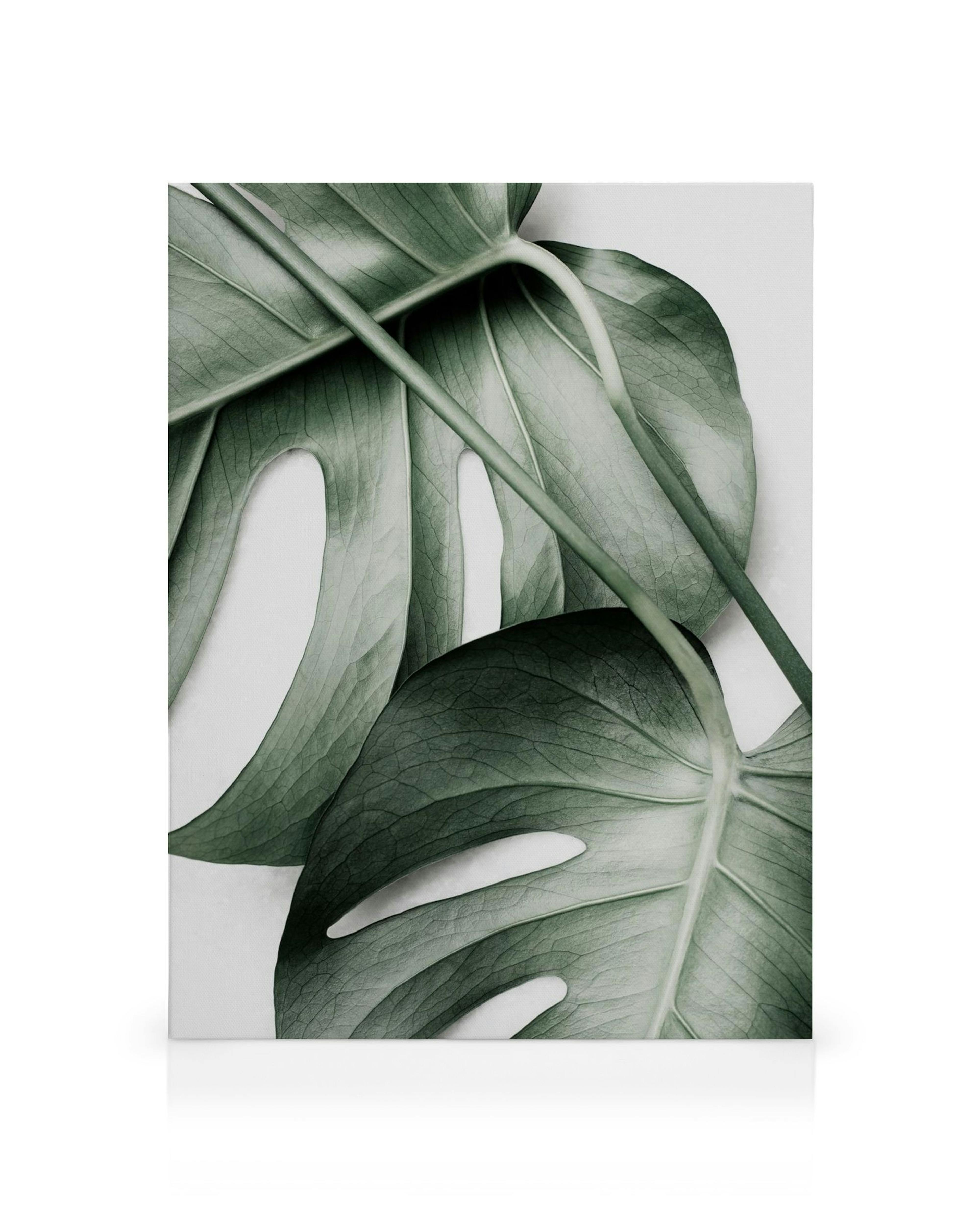 Product image: 1