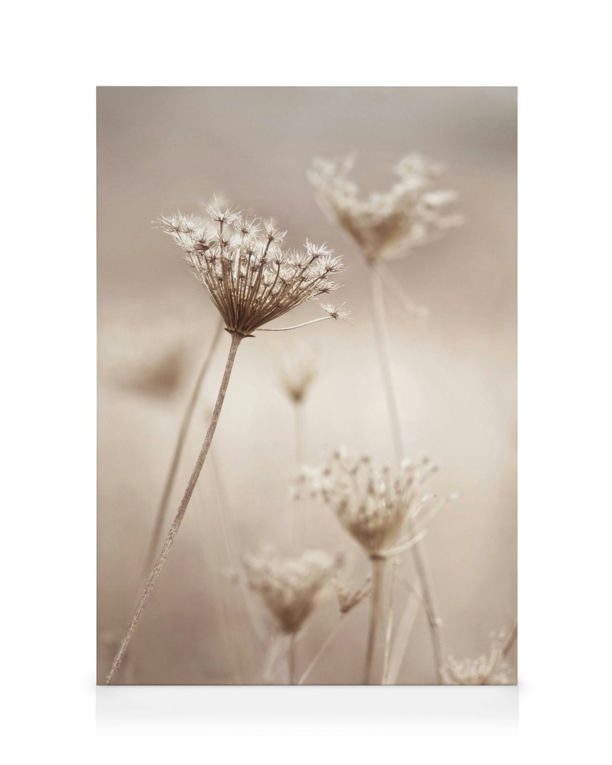 Wilde bloemen in beige canvas (50x70 cm - Fotokaders Eiken) - Poster Store