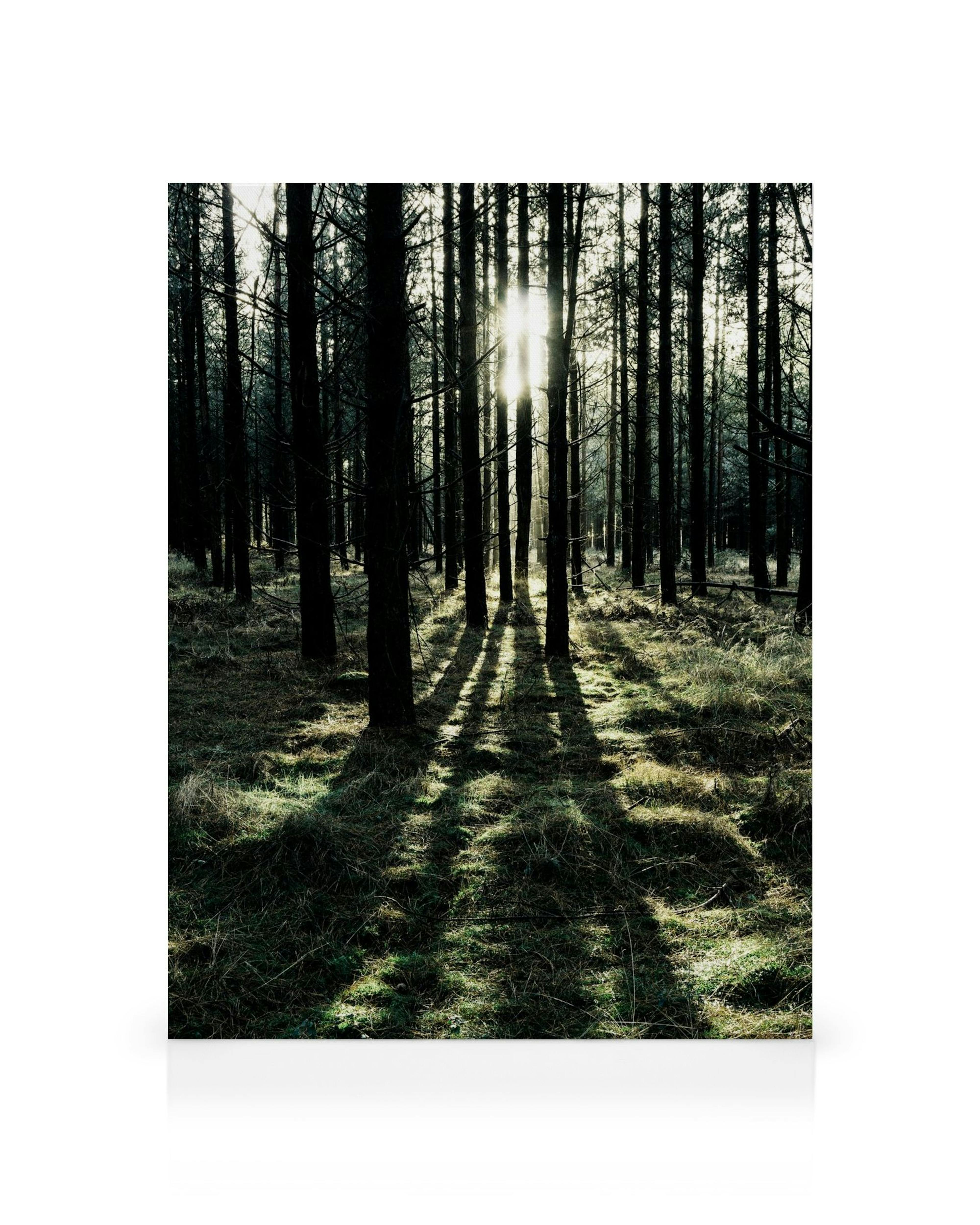 Product image: 1