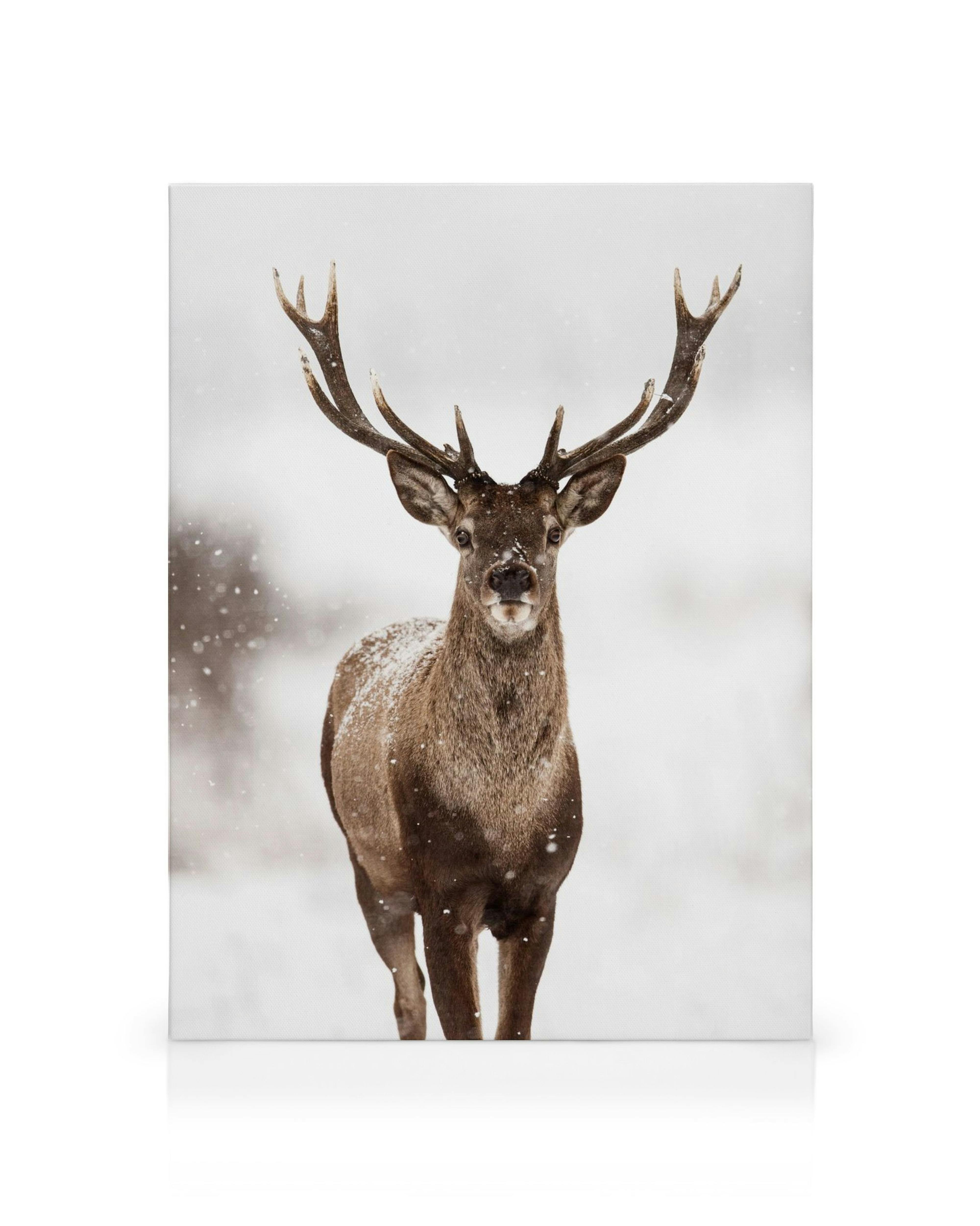 Product image: 1