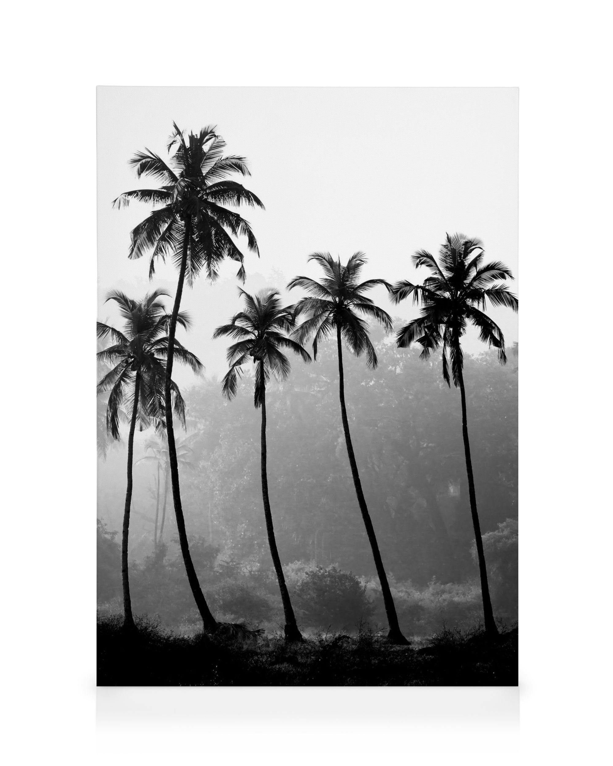 Canvas Prints - Palm Trees Canvas print (30x40 cm - Oak Frame) - Poster Store