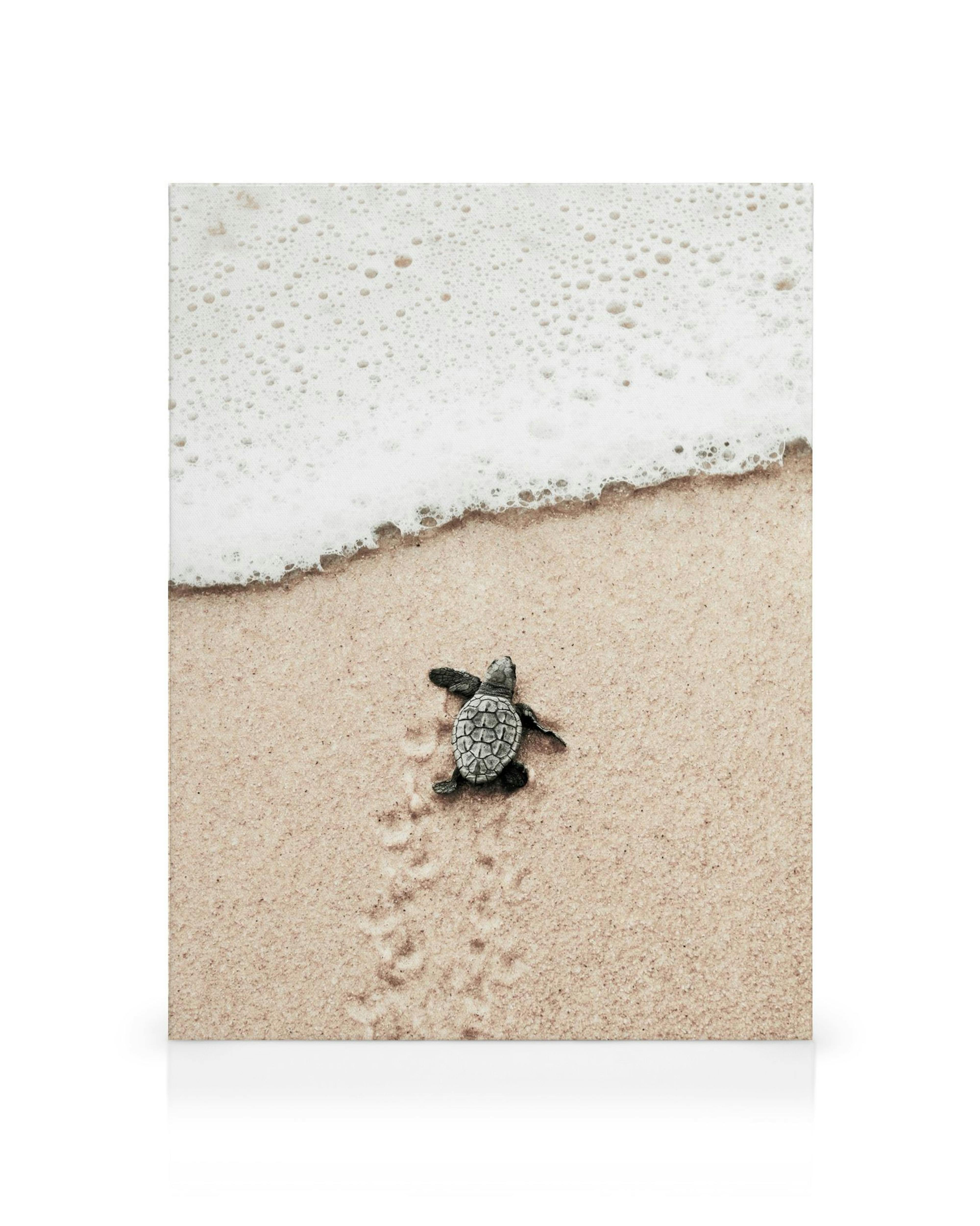 A canvas of a baby sea turtle on a sandy beach leaving tracks, with white foamy waves at the top.