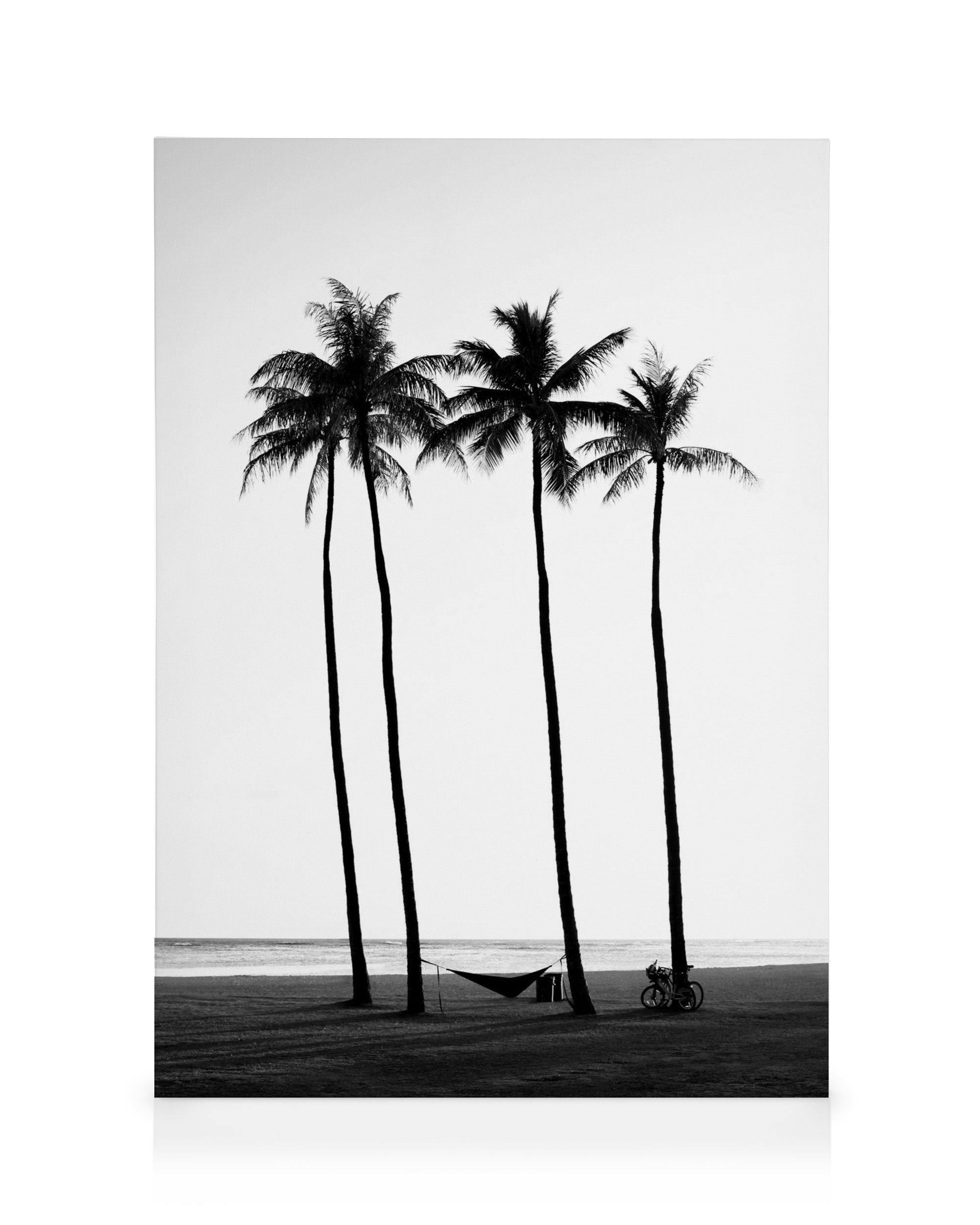 Canvas Prints - Palm Trees on Beach Canvas print (30x40 cm - Oak Frame) - Poster Store