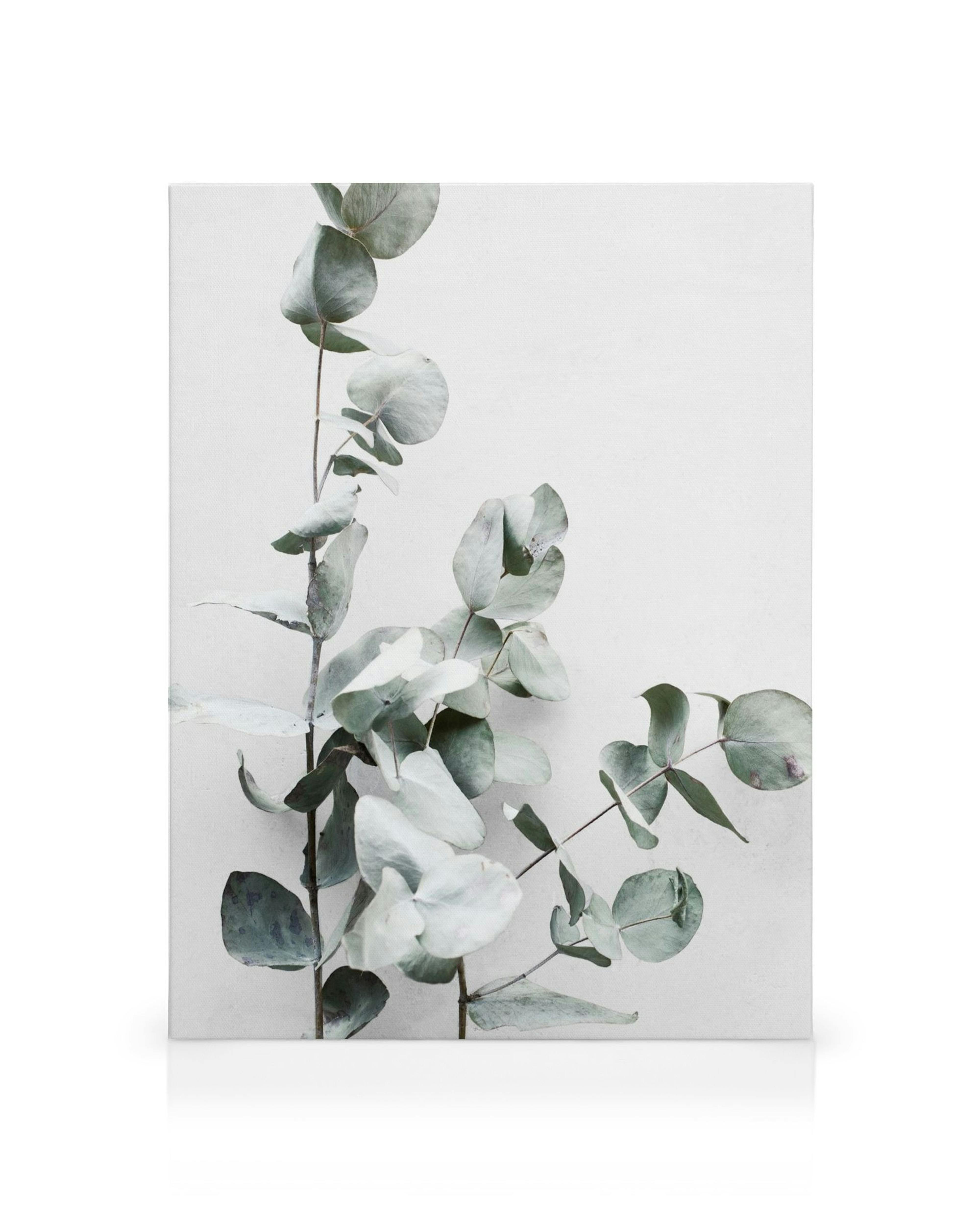 Product image: 1