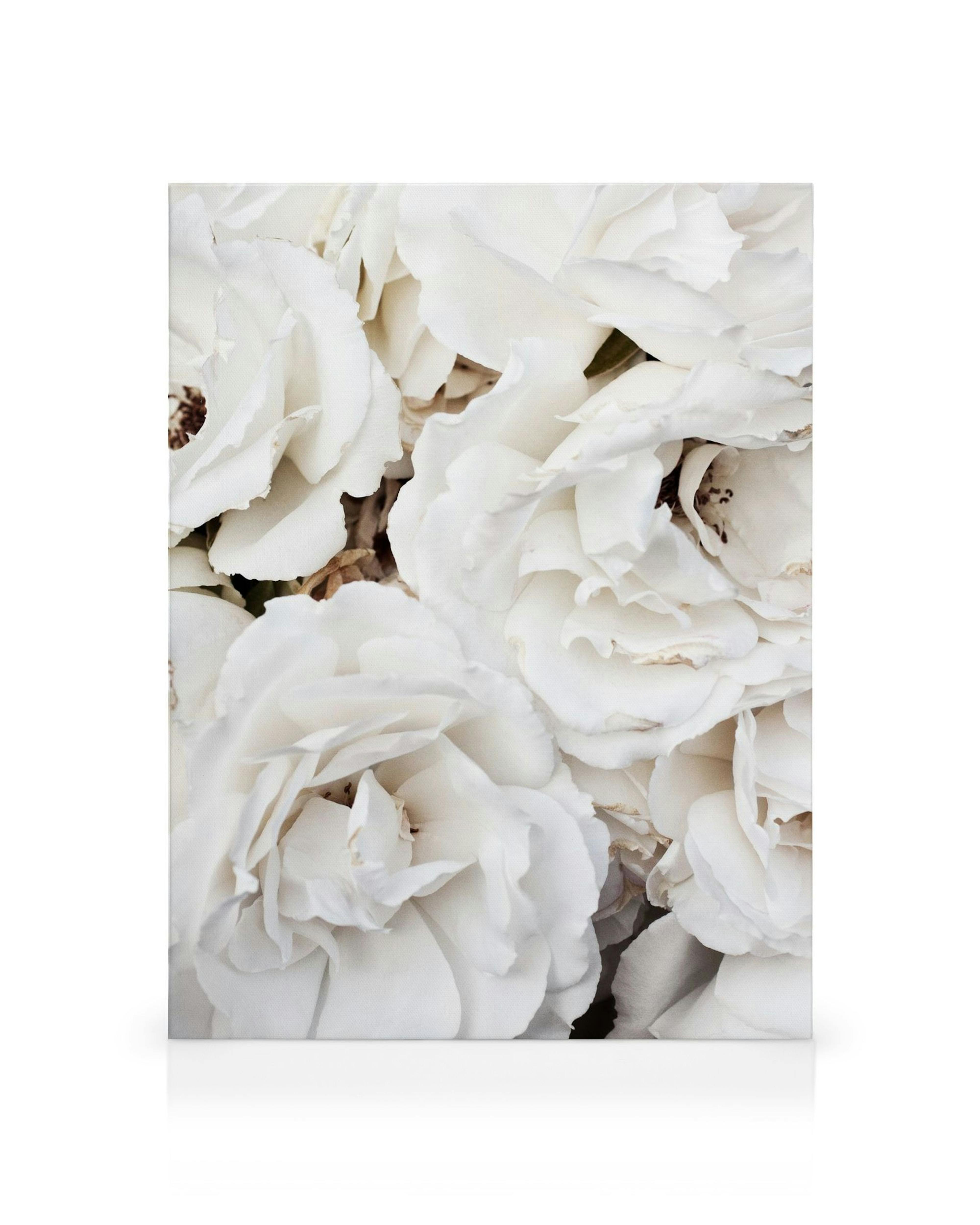 Product image: 1