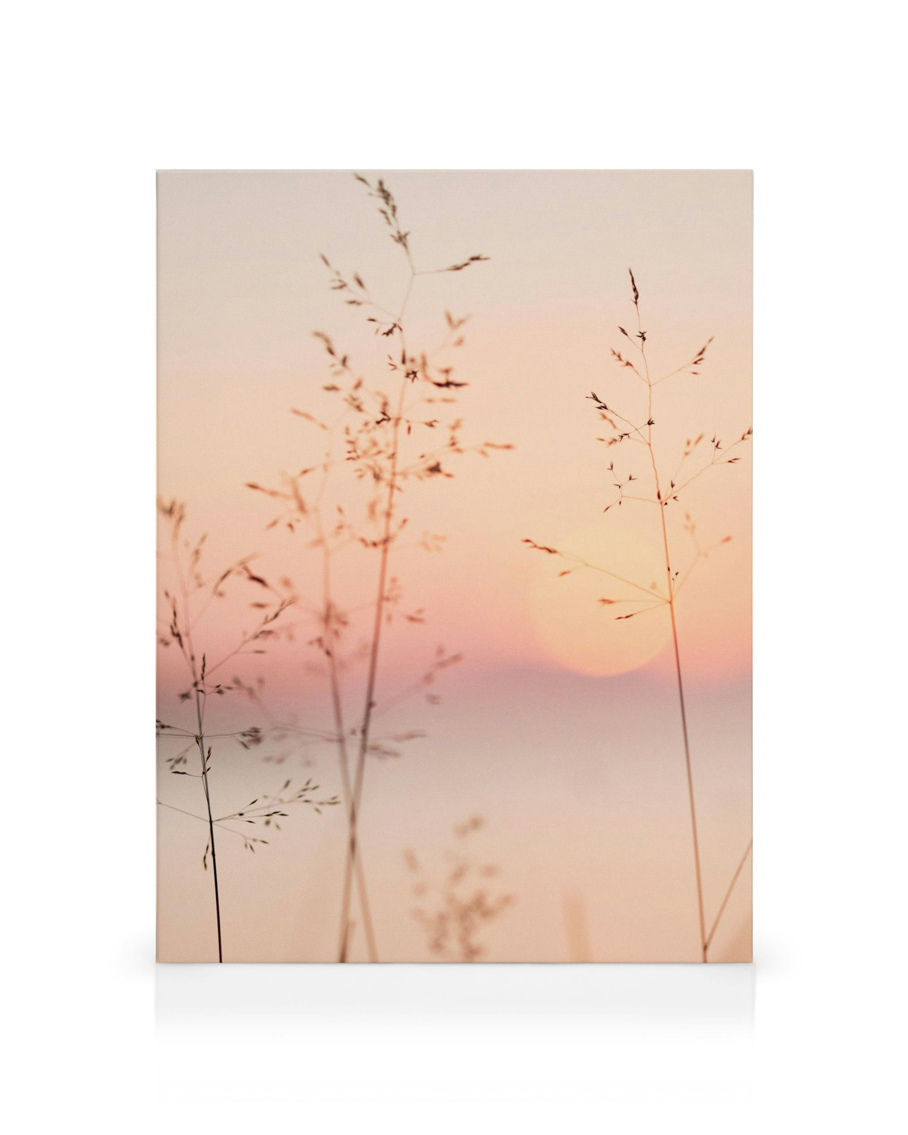 Product image: 1