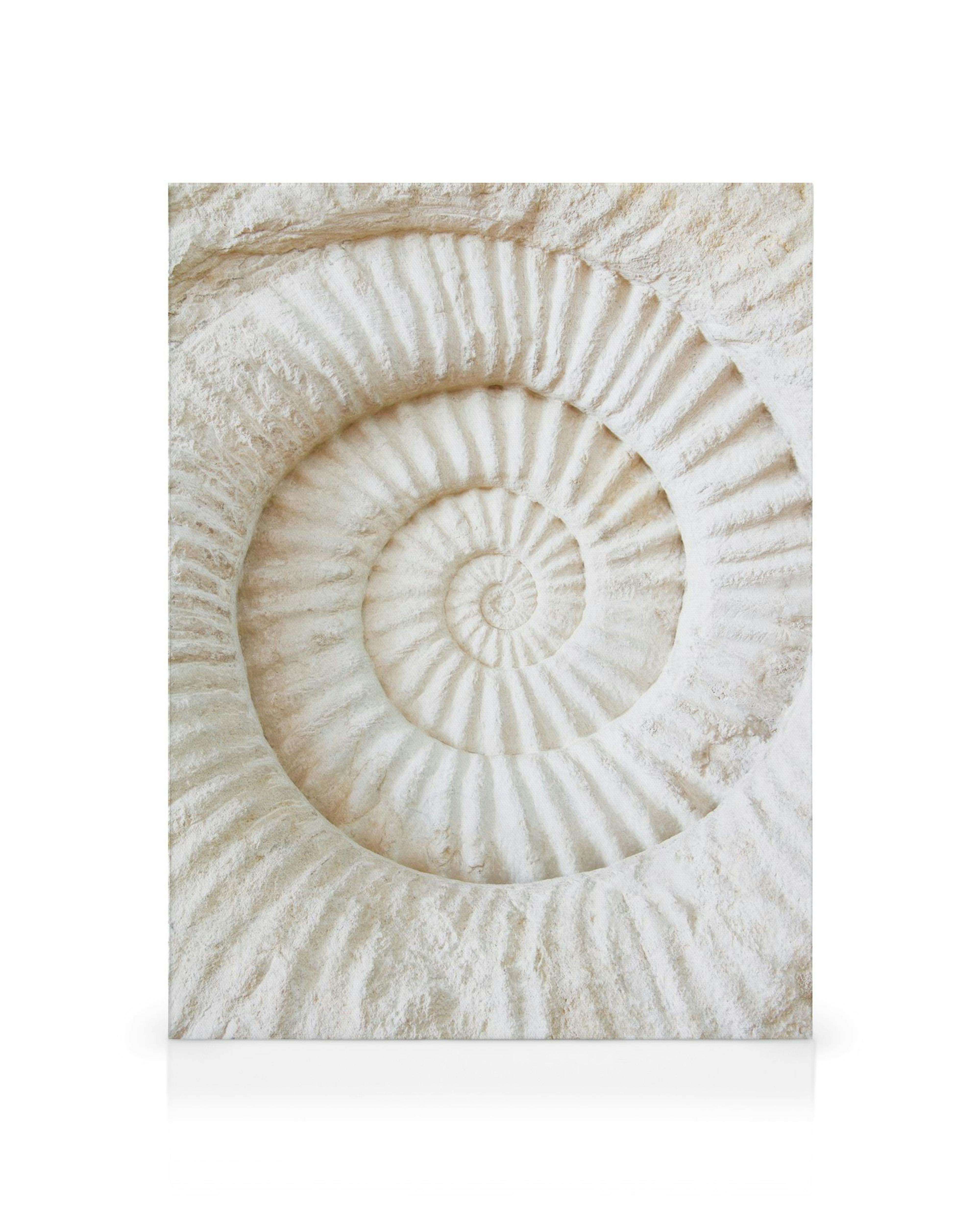 Product image: 1