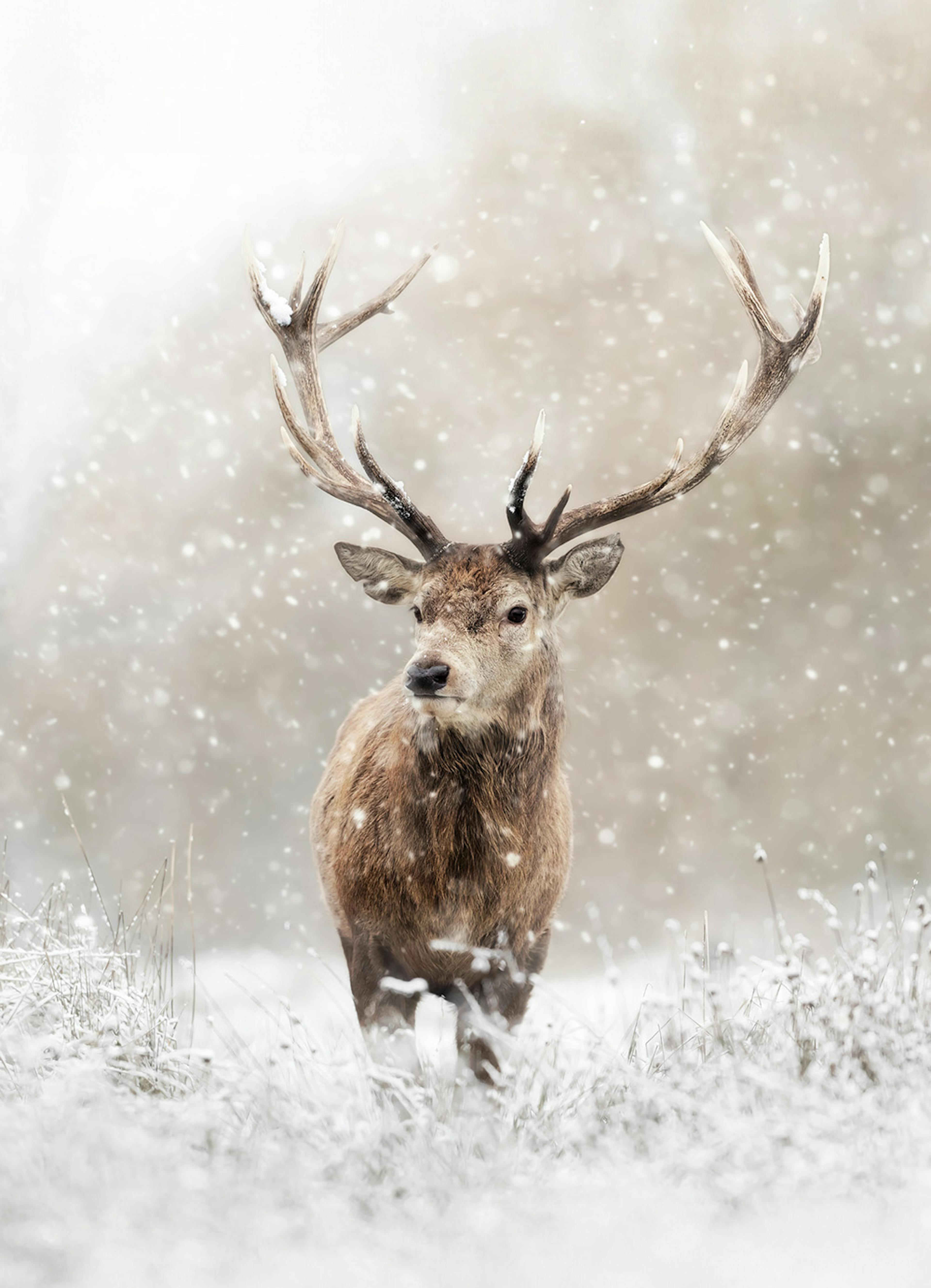 Een poster van een hert met groot gewei in een besneeuwd winterlandschap met sneeuwvlokken.